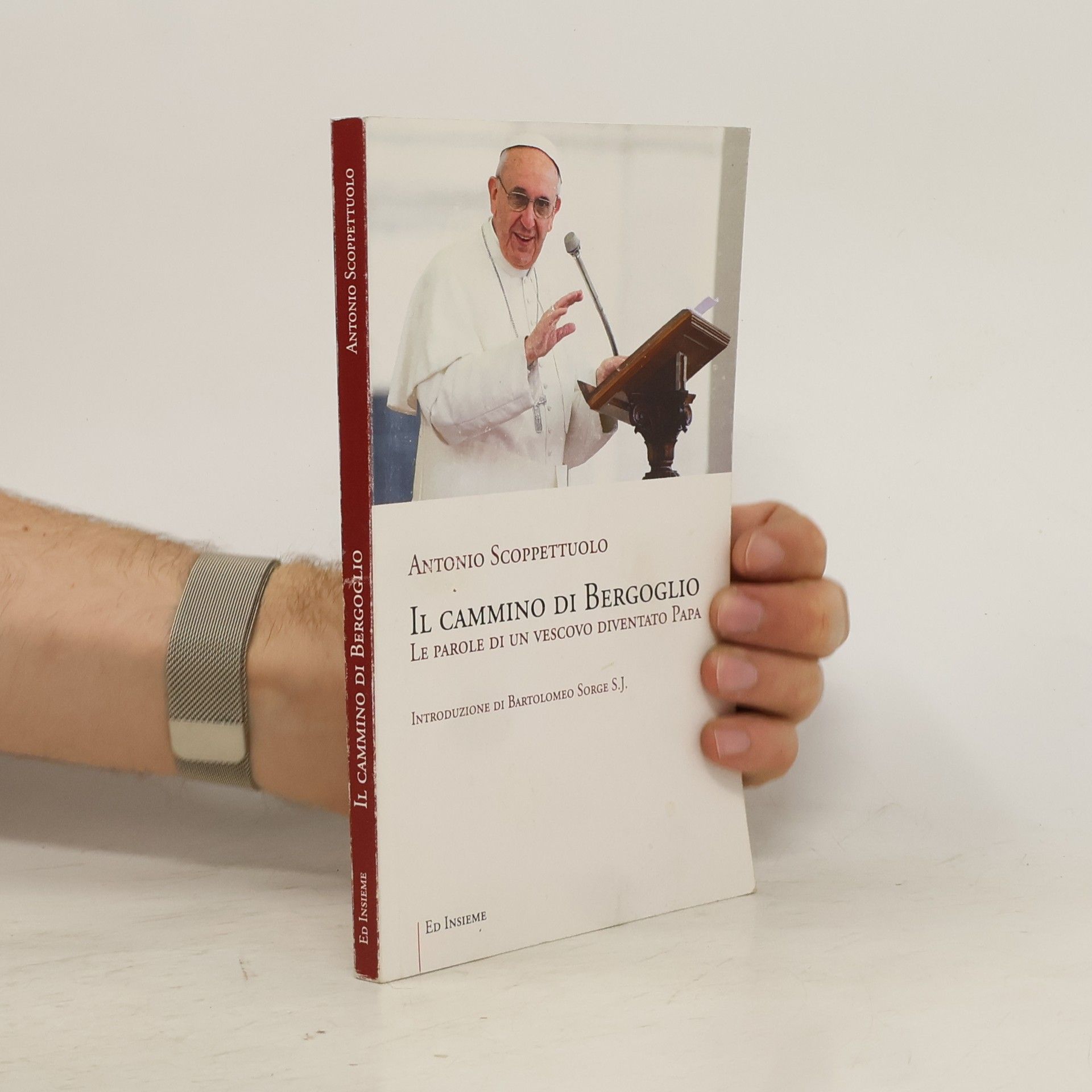 Antonio Scoppettuolo Il cammino di Bergoglio. Le parole di un vescovo diventato papa