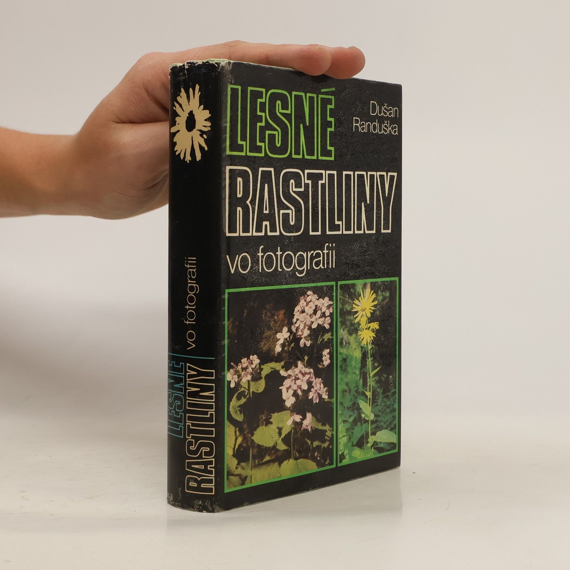 Lesné rastliny vo fotografii