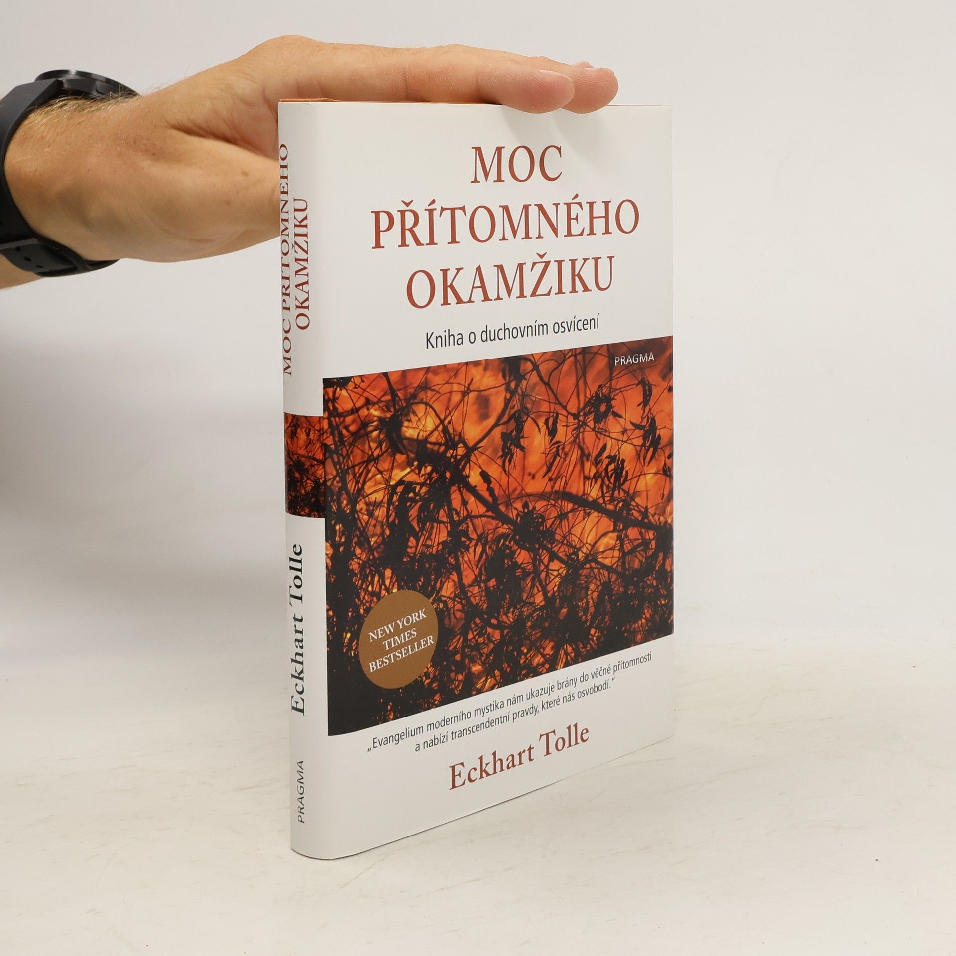 Eckhart Tolle Moc přítomného okamžiku
