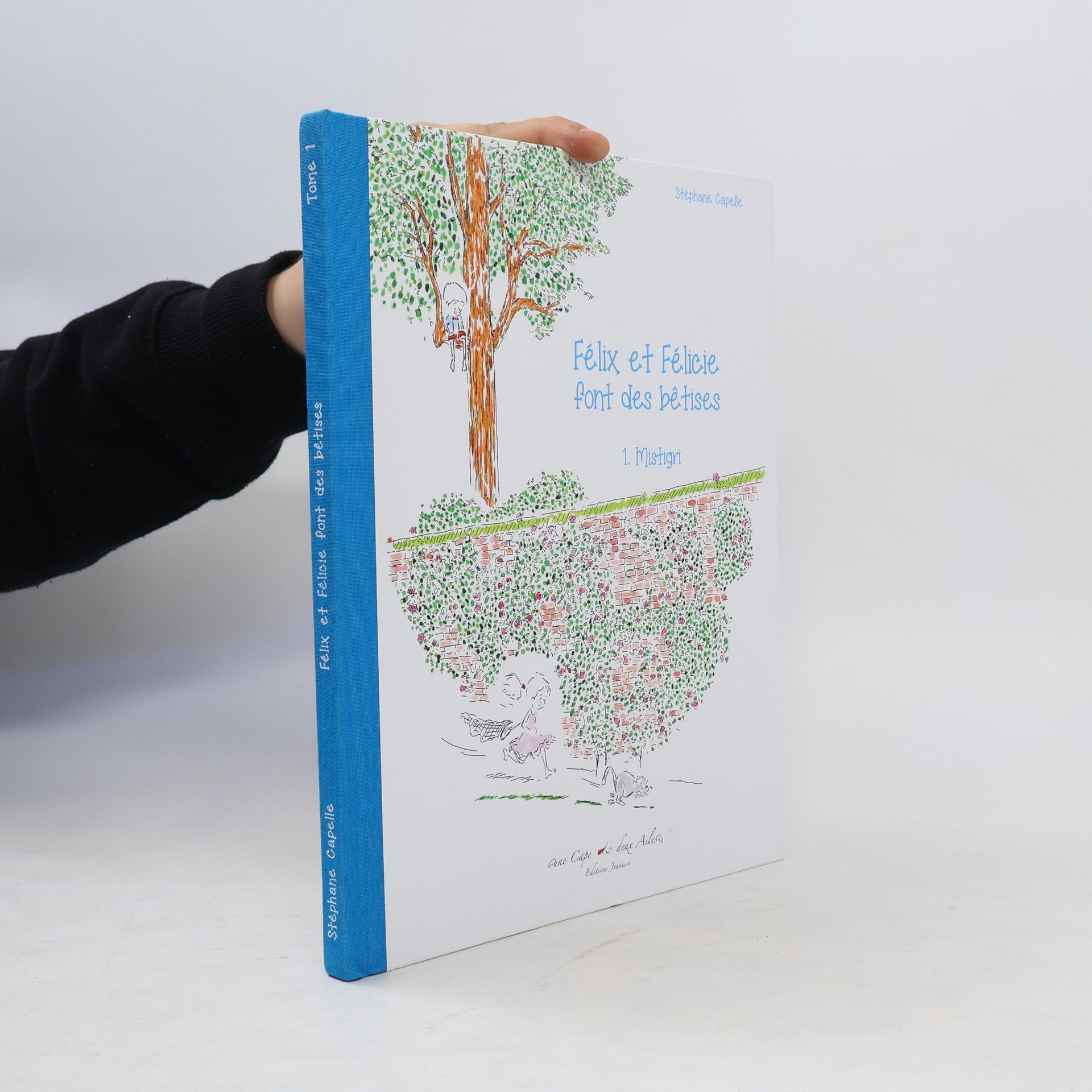Stéphane Capelle Félix et Félicie font des bêtises 1. Mistigri