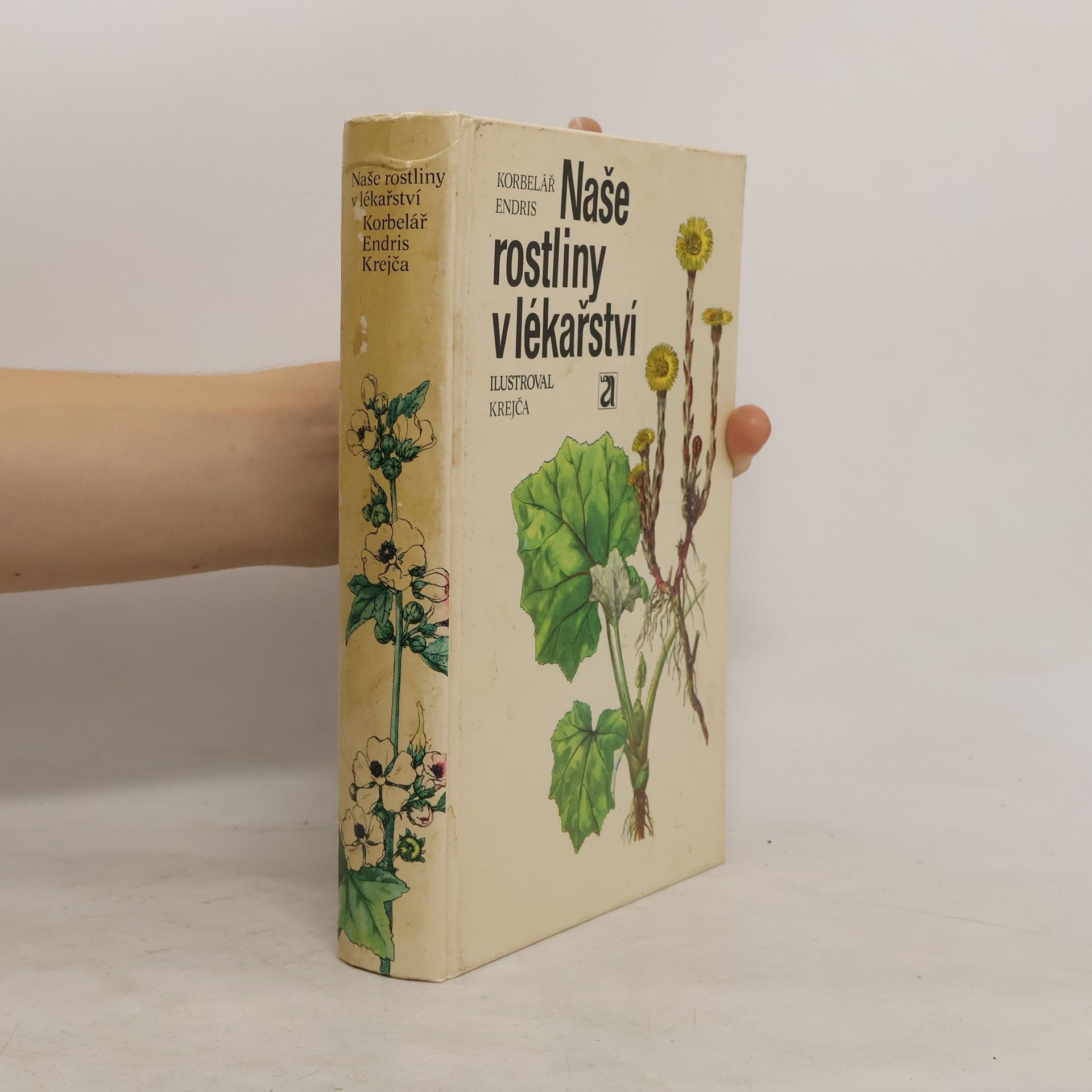 Jaroslav Korbelář Naše rostliny v lékařství