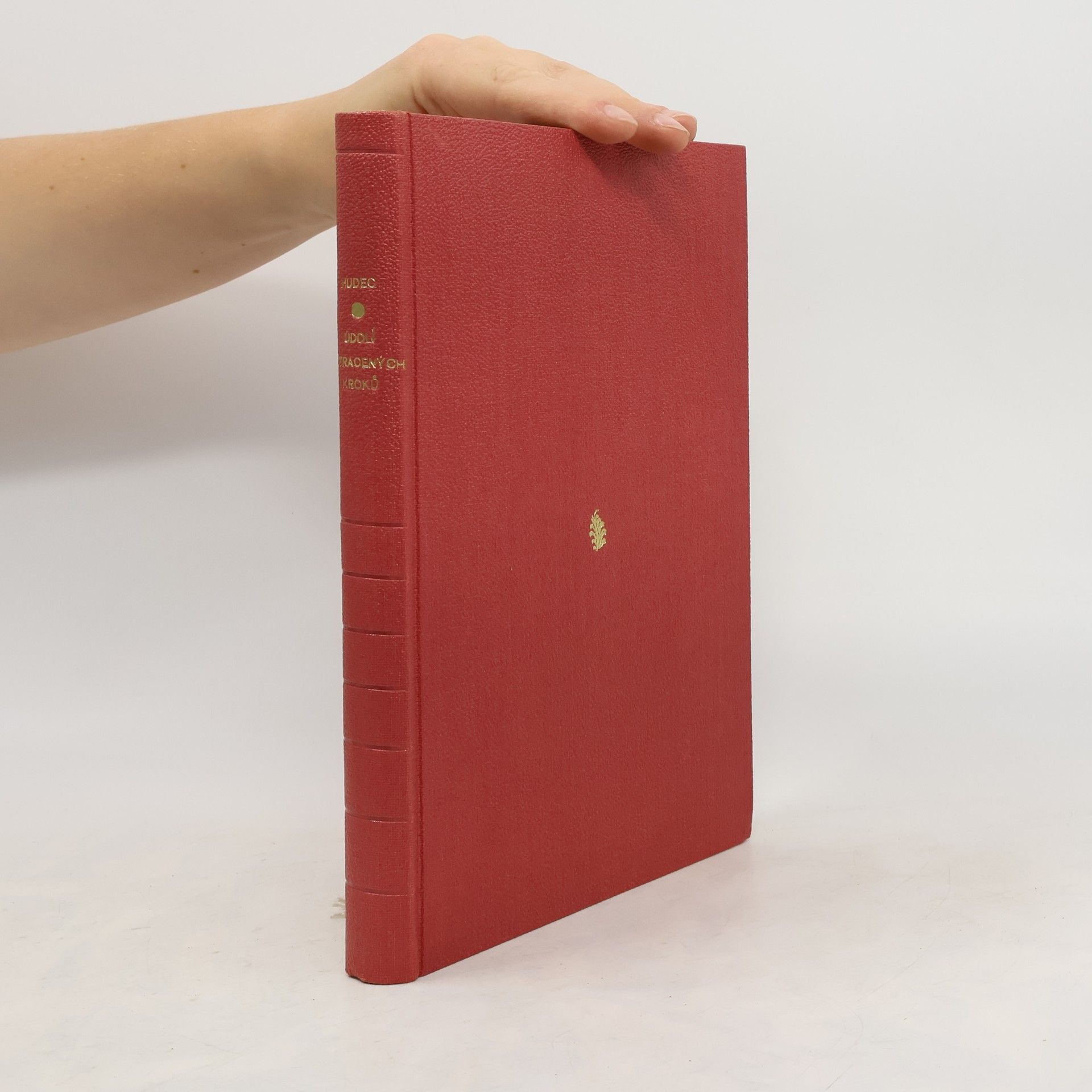 Údolí ztracených kroků