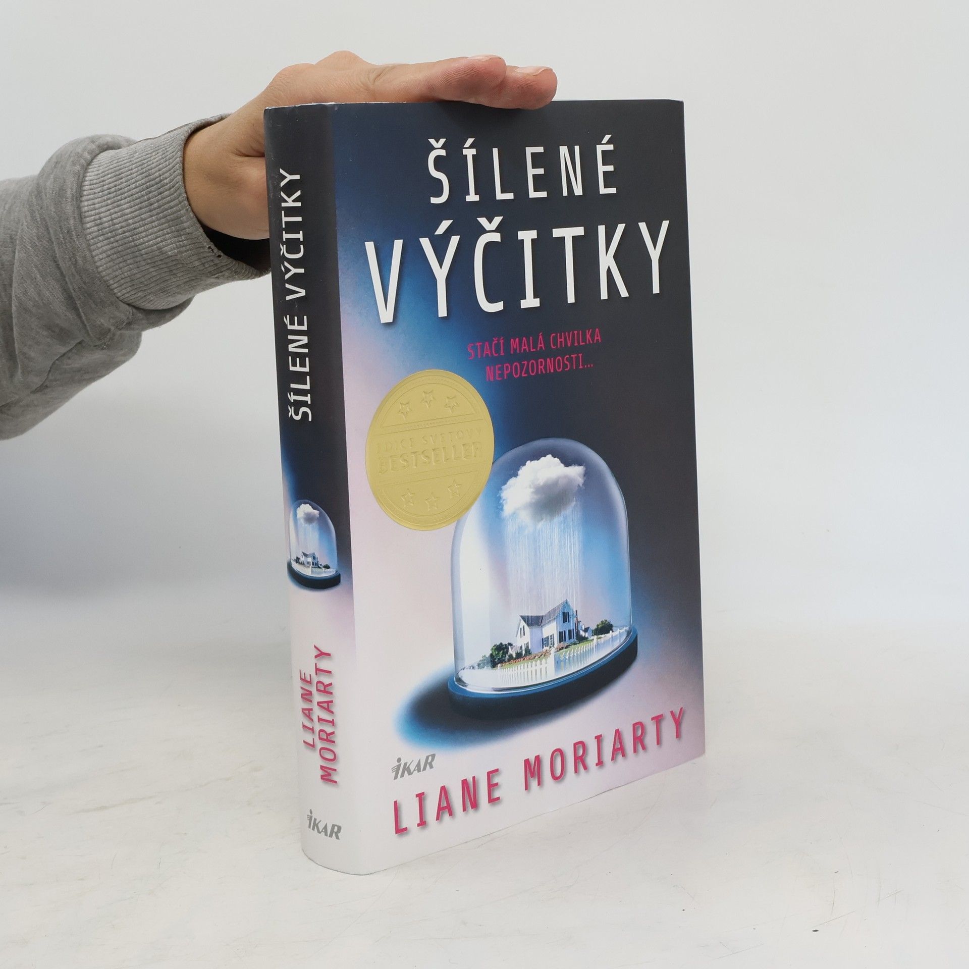 Liane Moriarty Šílené výčitky