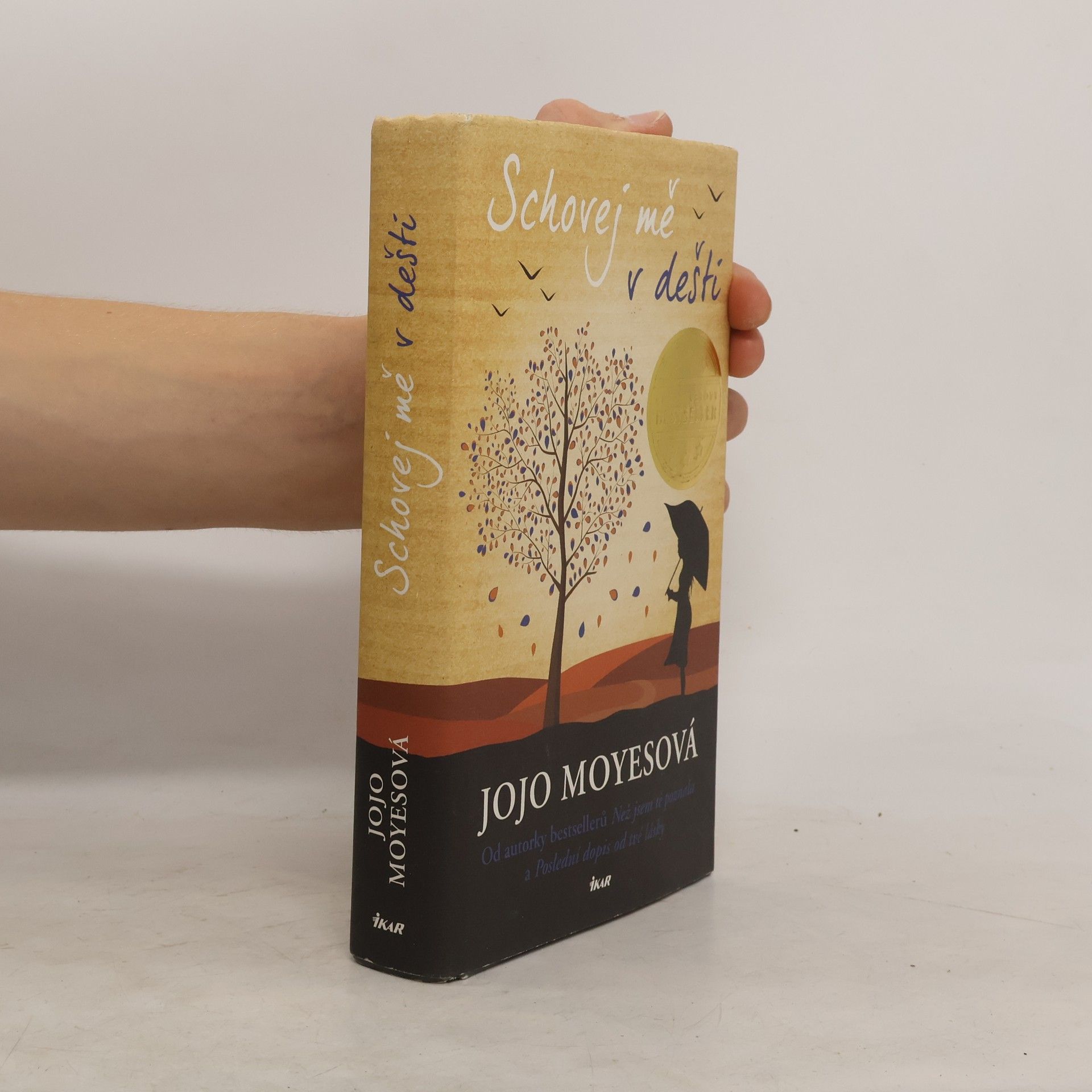 Jojo Moyes Schovej mě v dešti