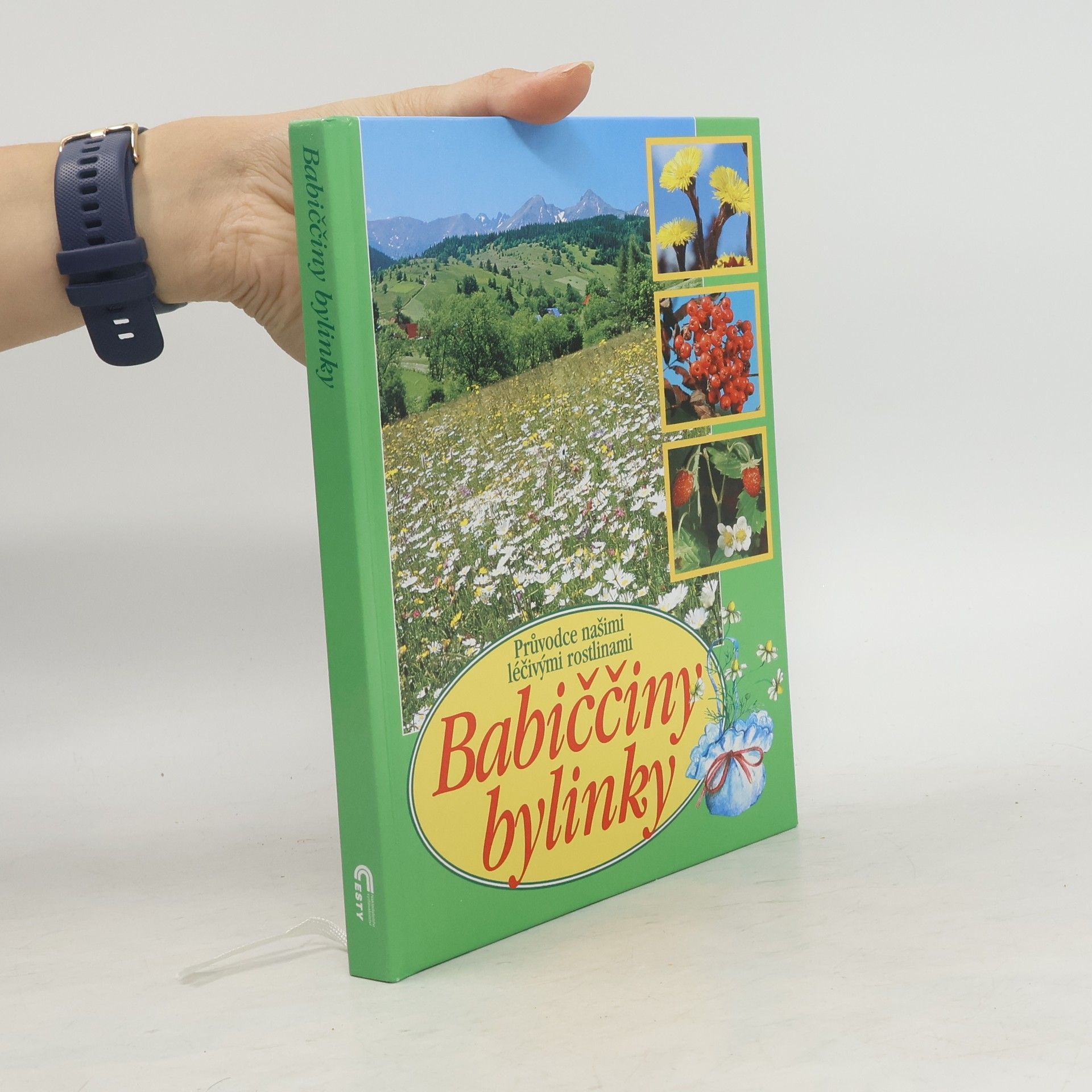 Babiččiny bylinky: Průvodce našimi léčivými rostlinami