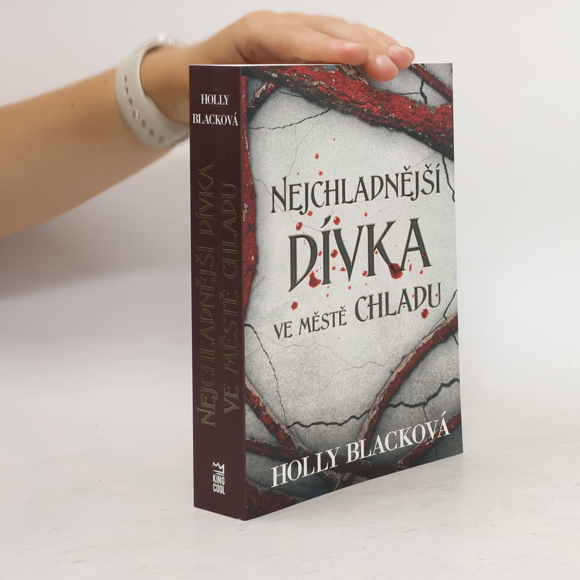 Holly Black Nejchladnější dívka ve městě chladu