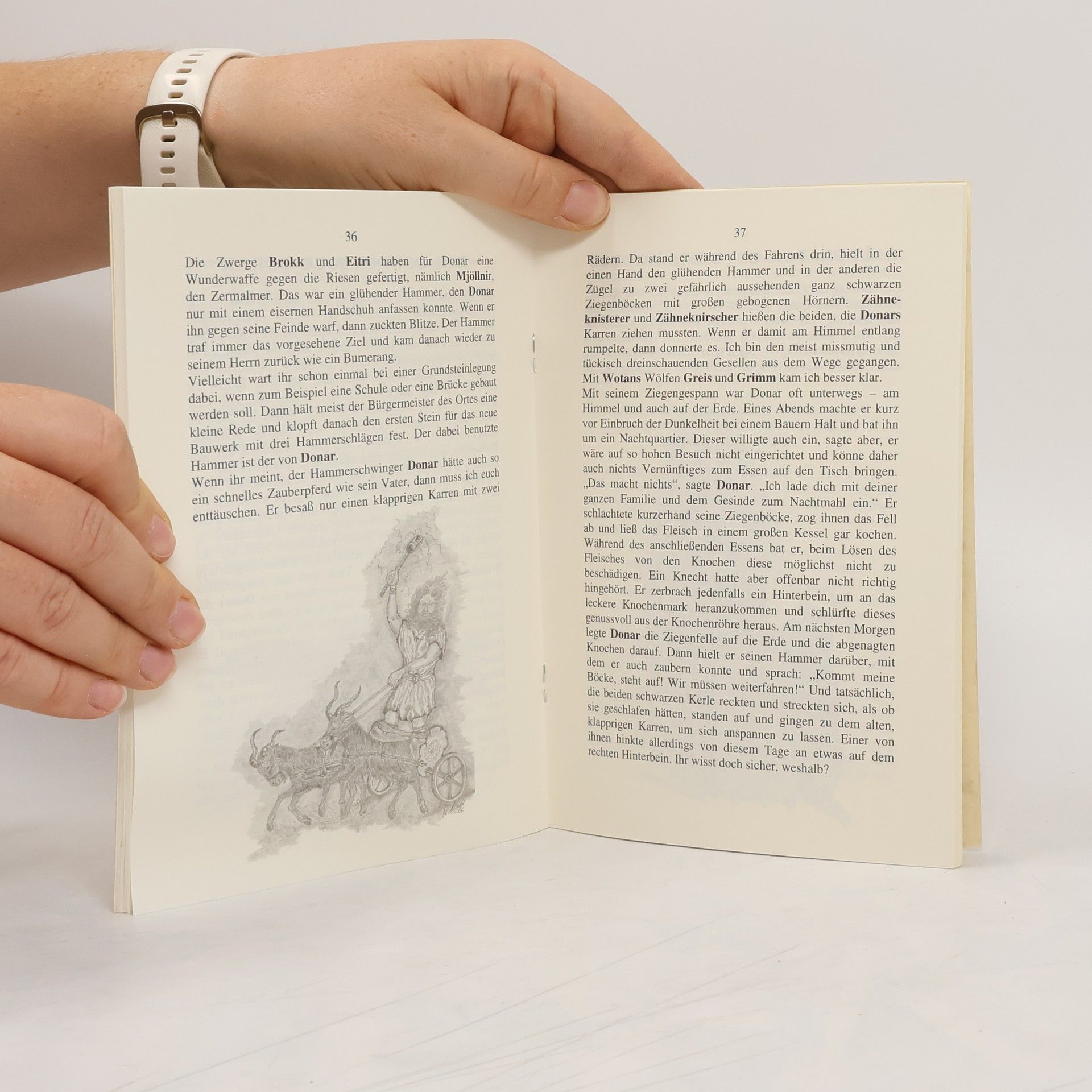 Harald Watzek Germanische Mythologie für Kinder