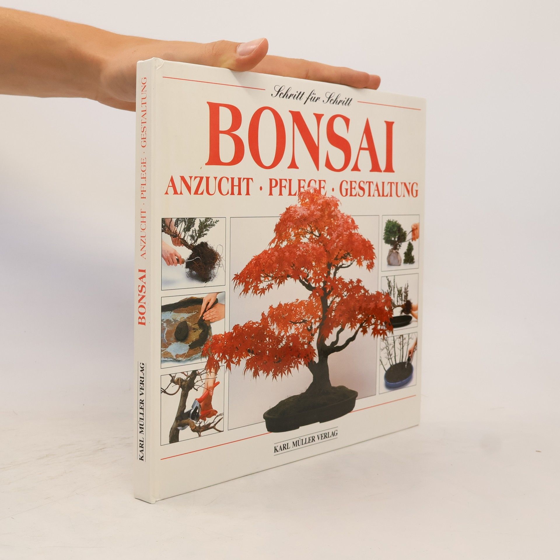 Colin Lewis Bonsai