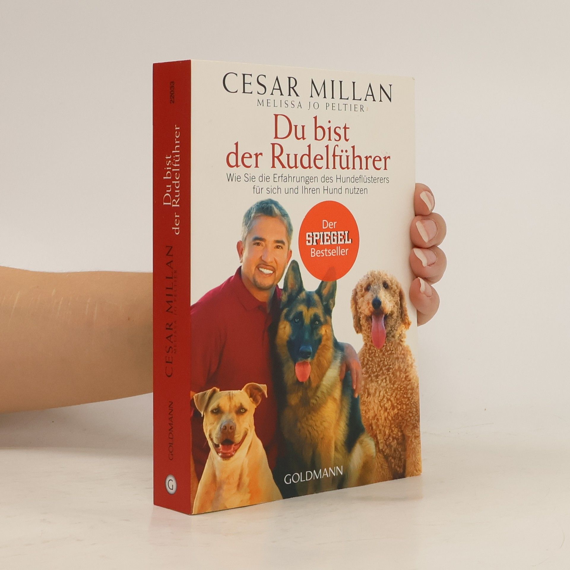 Cesar Millan Du bist der Rudelführer