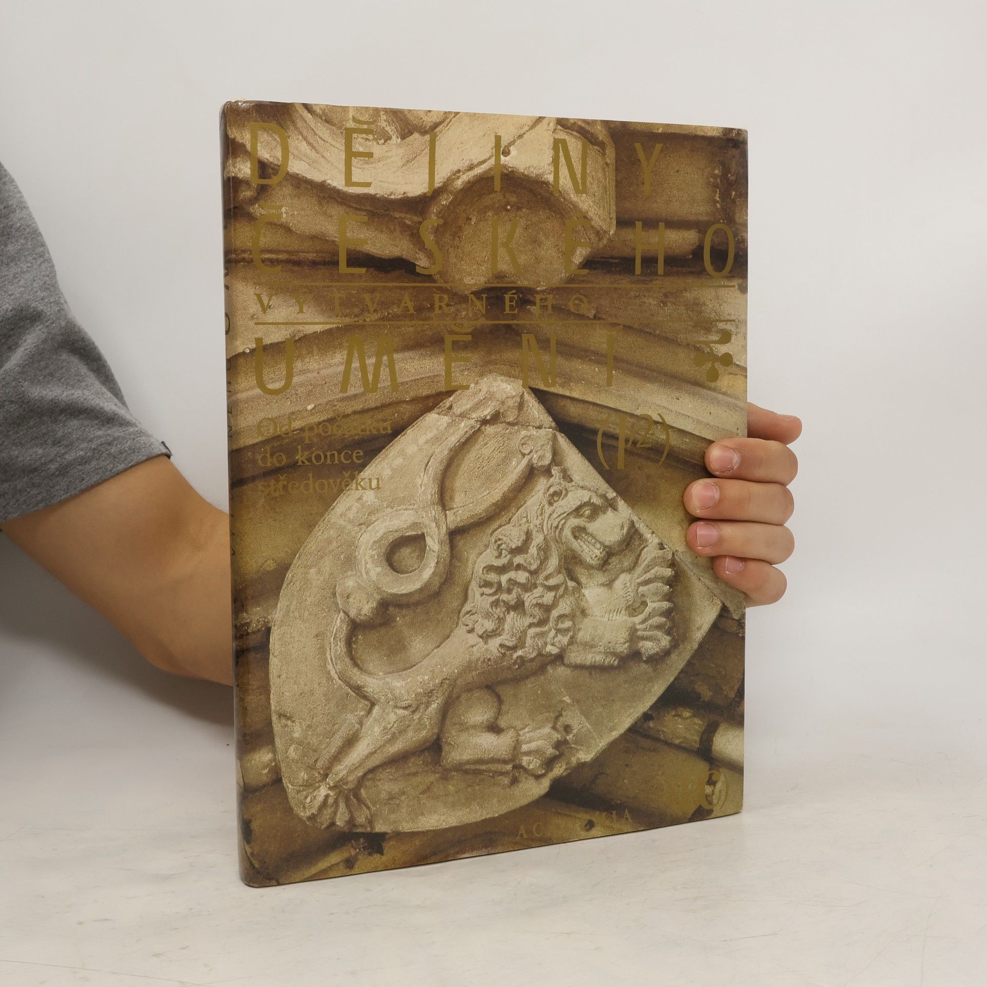 Kolektiv autorů Dějiny českého výtvarného umění I/2