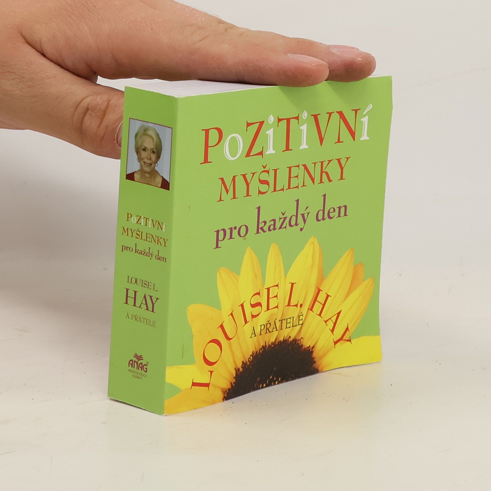 Louise Lynn Hay Pozitivní myšlenky pro každý den