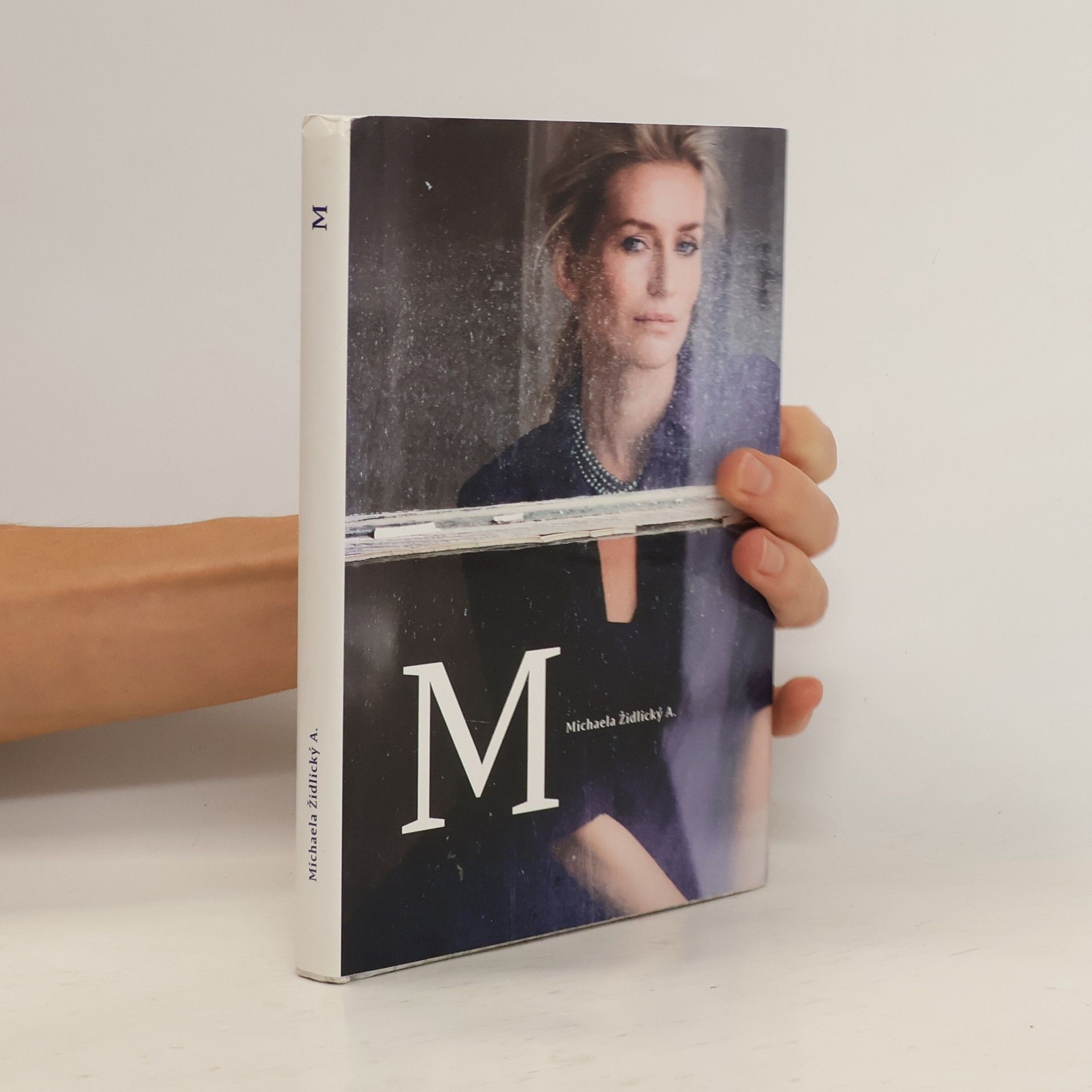 Michaela Židlický A. M