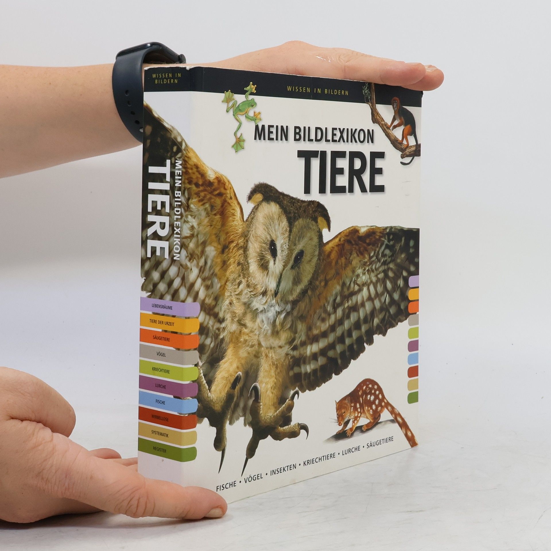 Autorenkollektiv Mein Bildlexikon Tiere