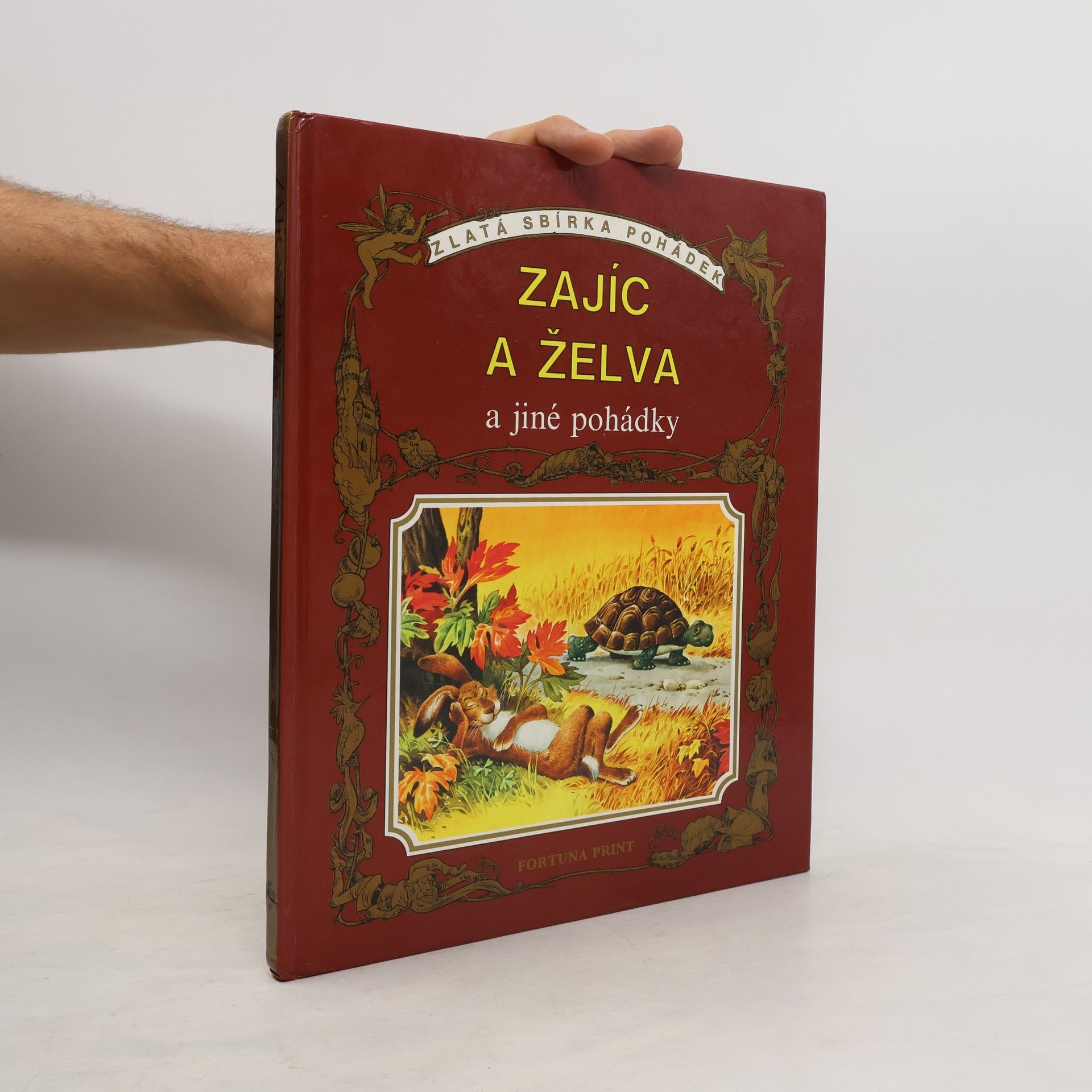 Kolektív autorov Zajíc a želva a jiné pohádky