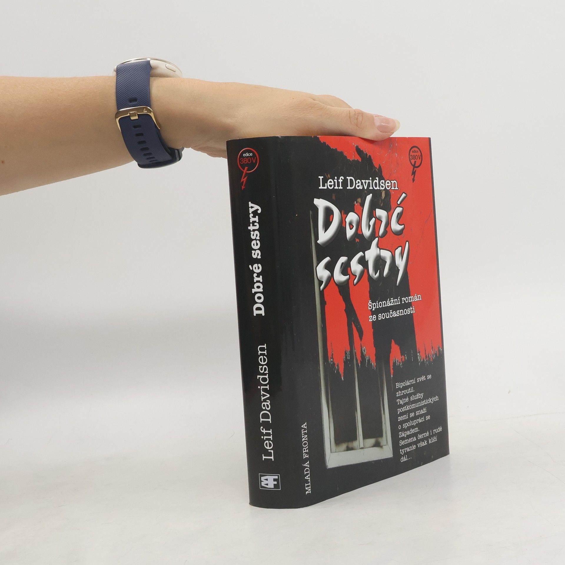 Leif Davidsen Dobré sestry