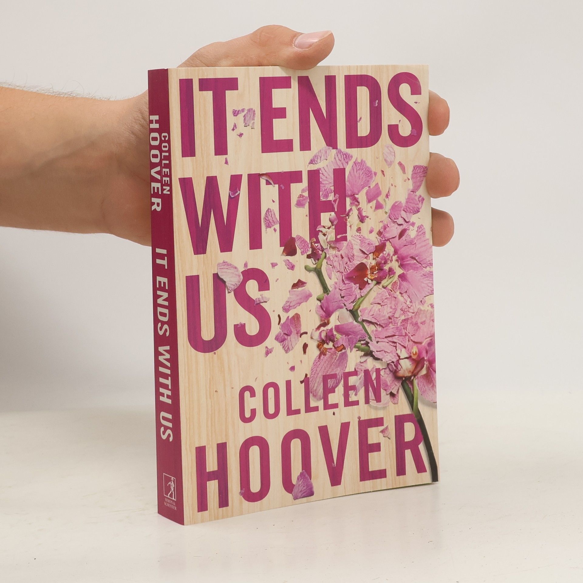 Colleen Hoover It Ends With Us