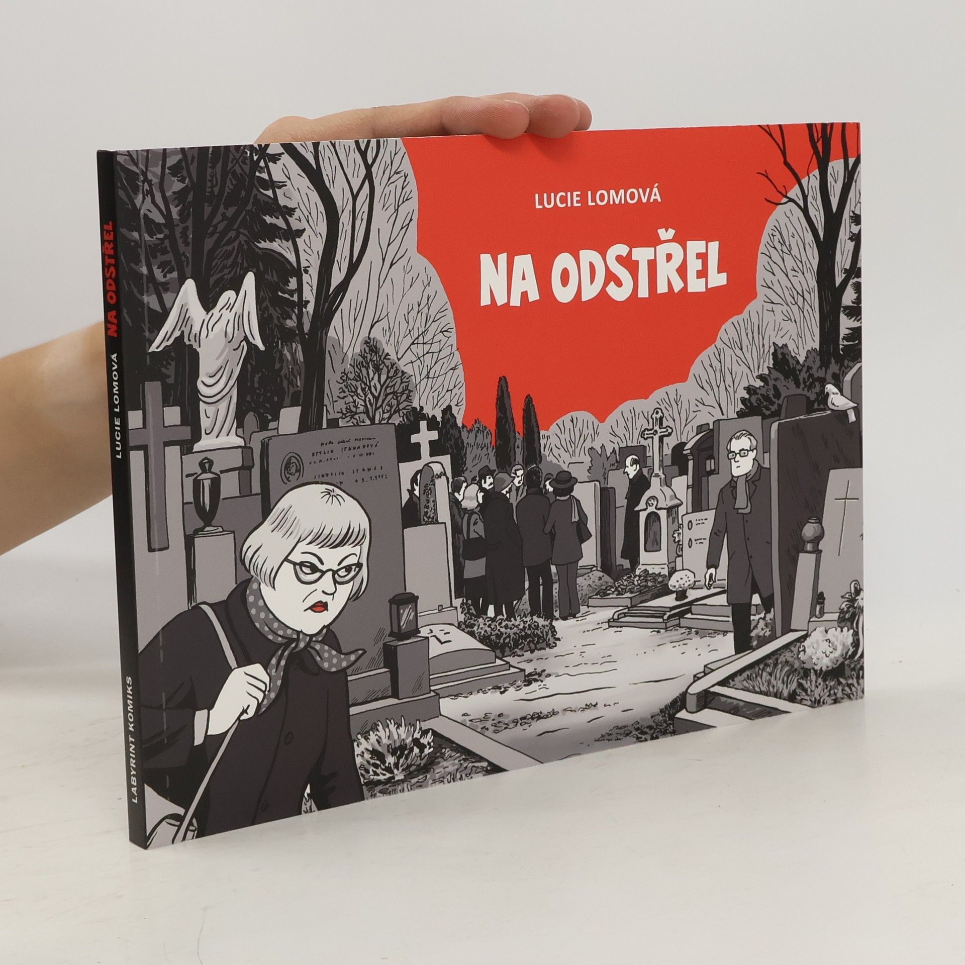 Lucie Lomová Na odstřel: Komiksová detektivka