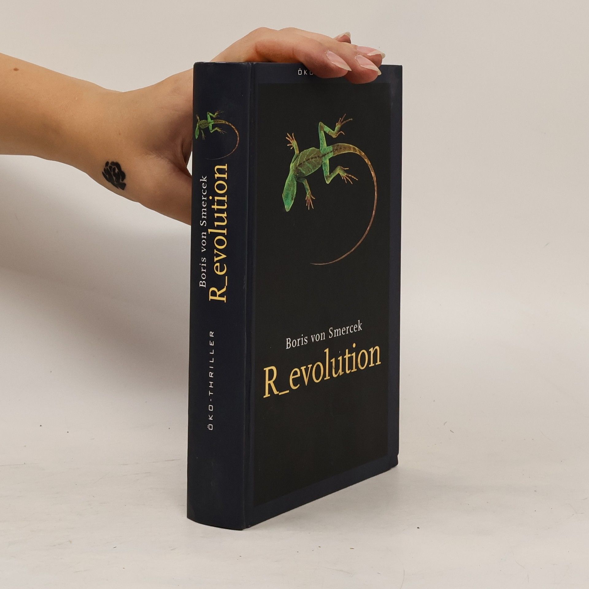 Wolfgang Hohlbein Der Untergang