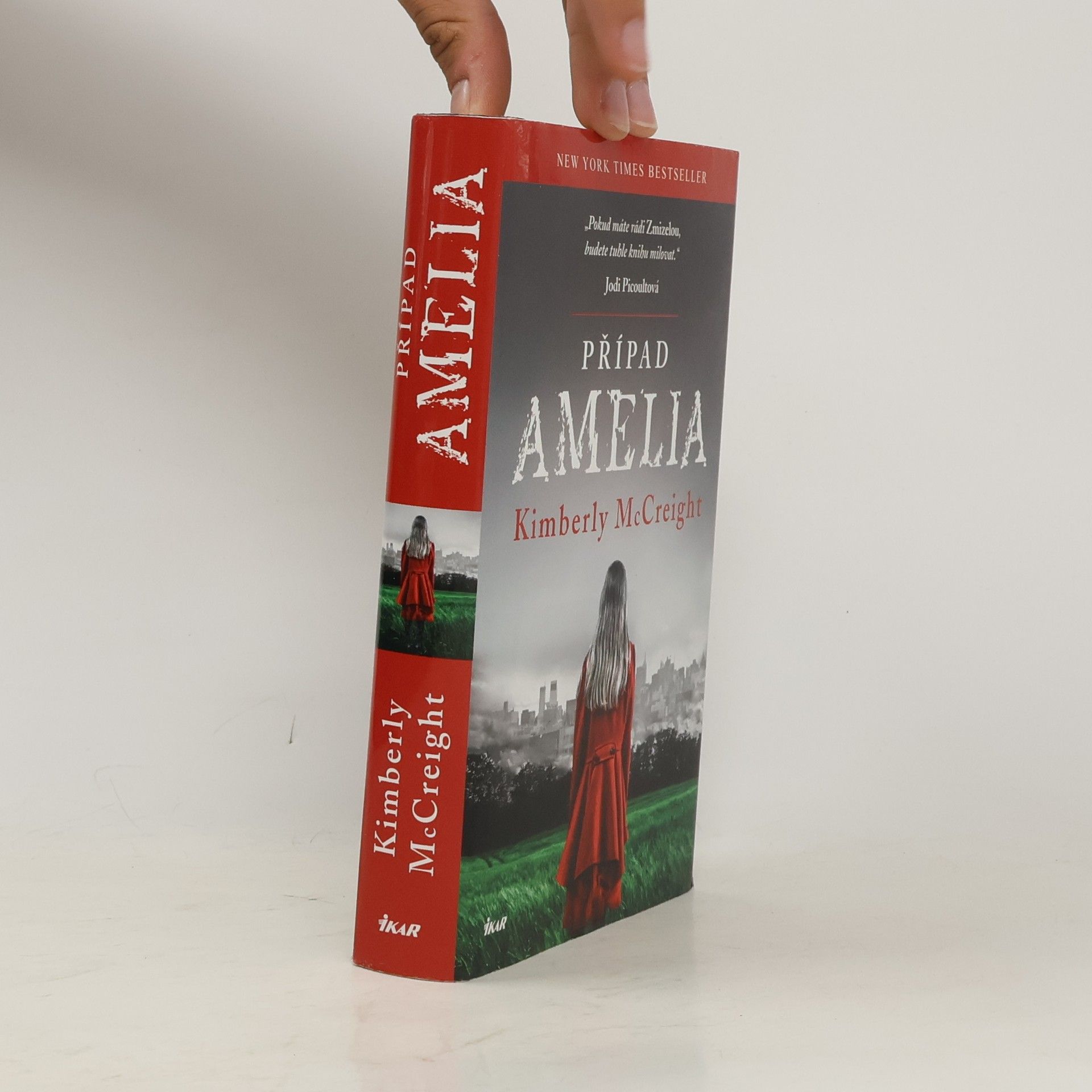 Kimberly McCreight Případ Amelia