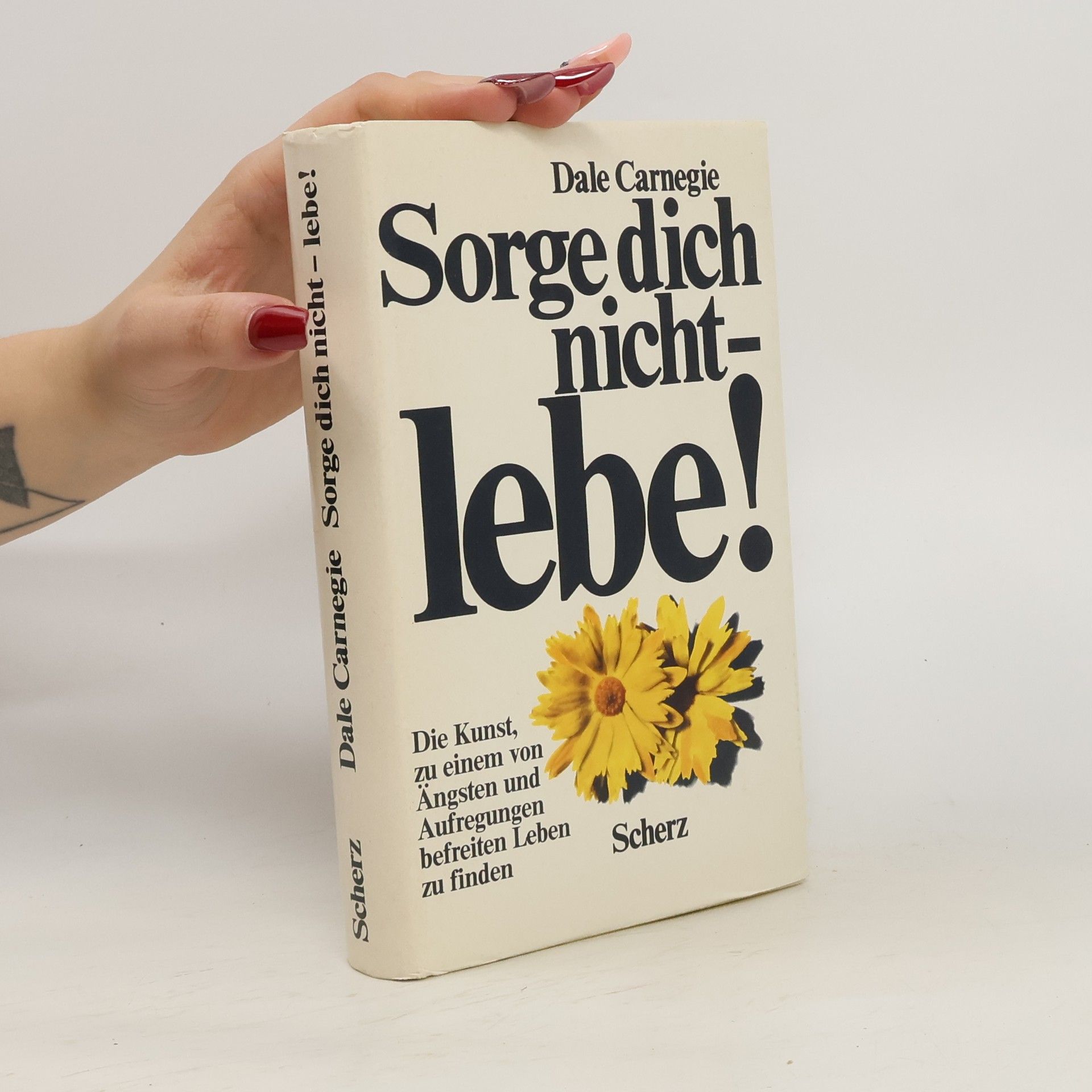 Dale Carnegie Sorge dich nicht - lebe!
