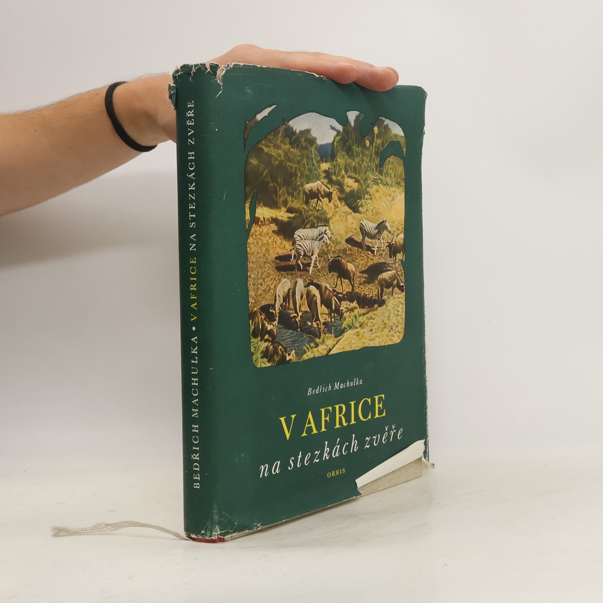 V Africe na stezkách zvěře