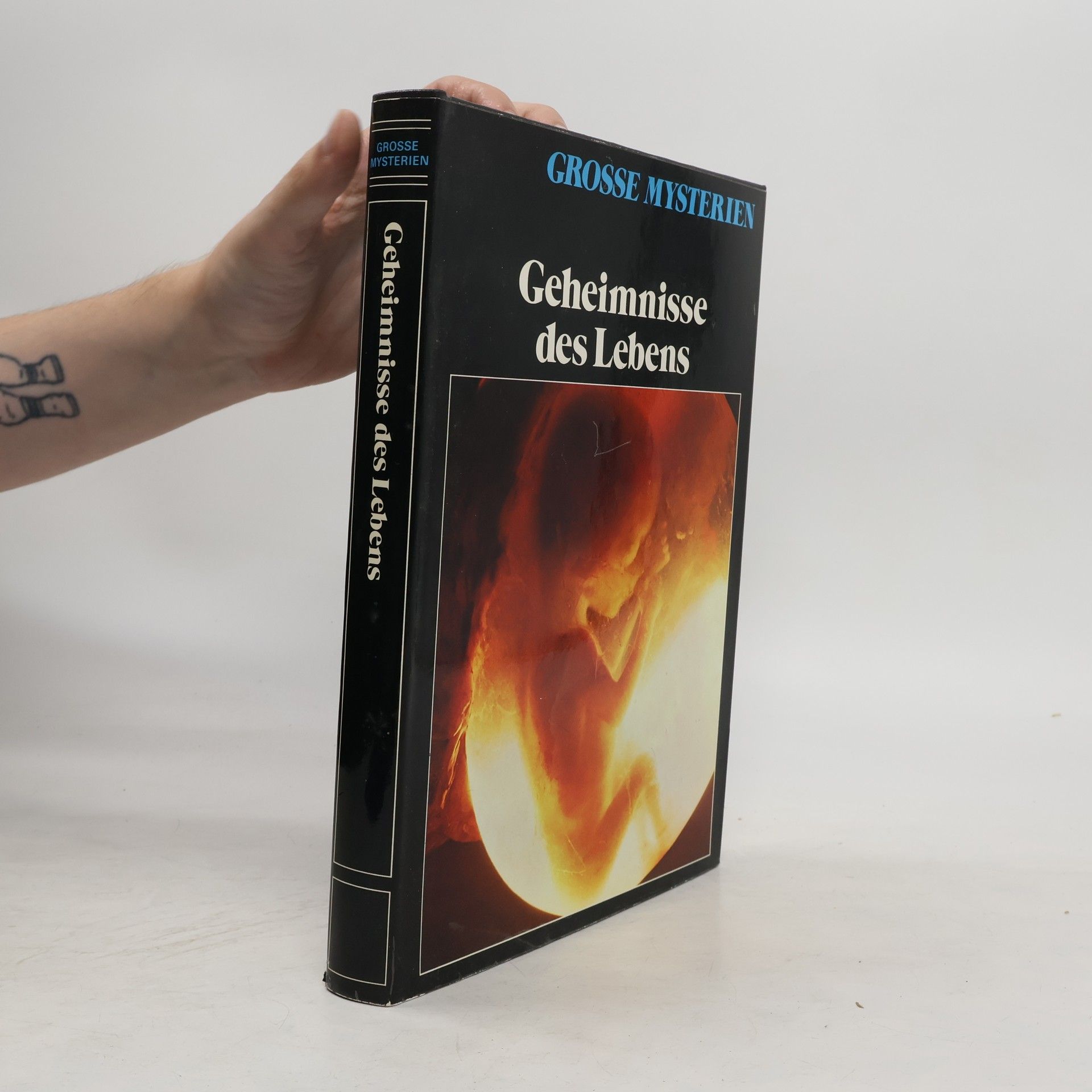 Autorenkollektiv Grosse Mysterien. Geheimnisse des Lebens