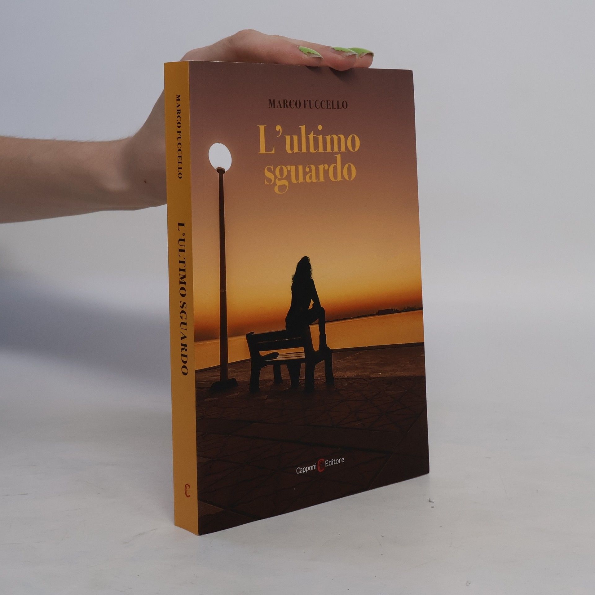 Marco Fuccello L'ultimo sguardo