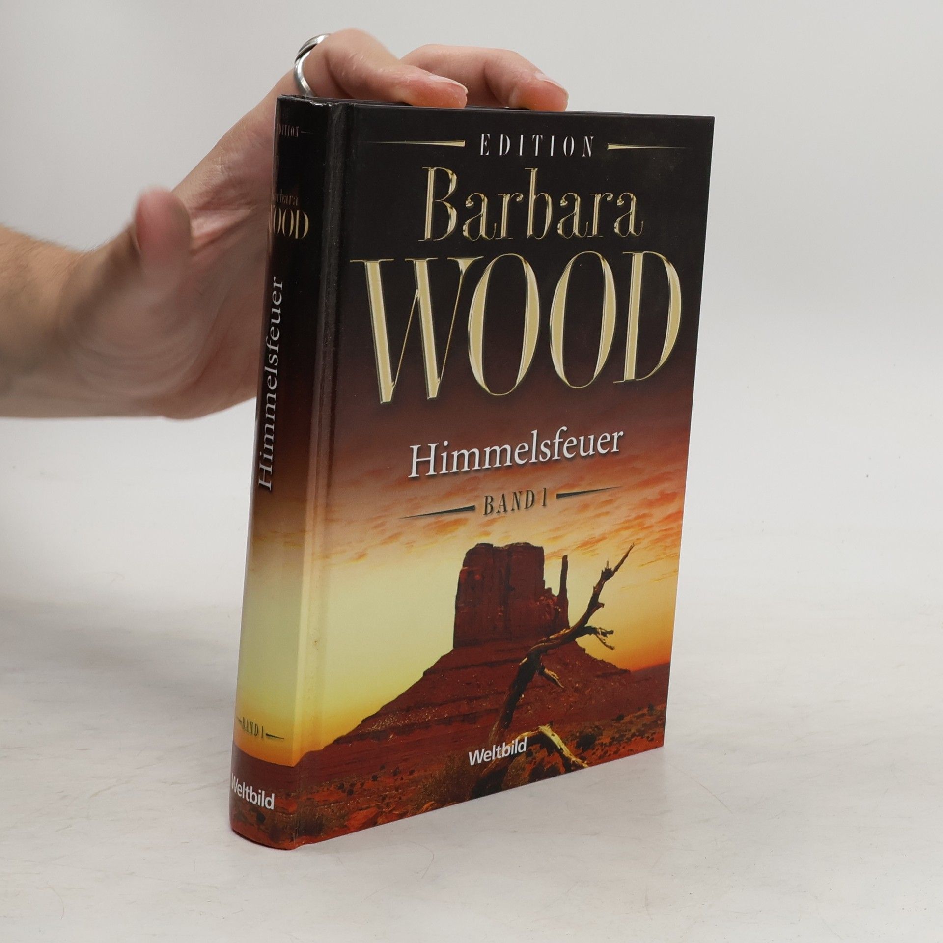 Barbara Wood Himmelsfeuer 1