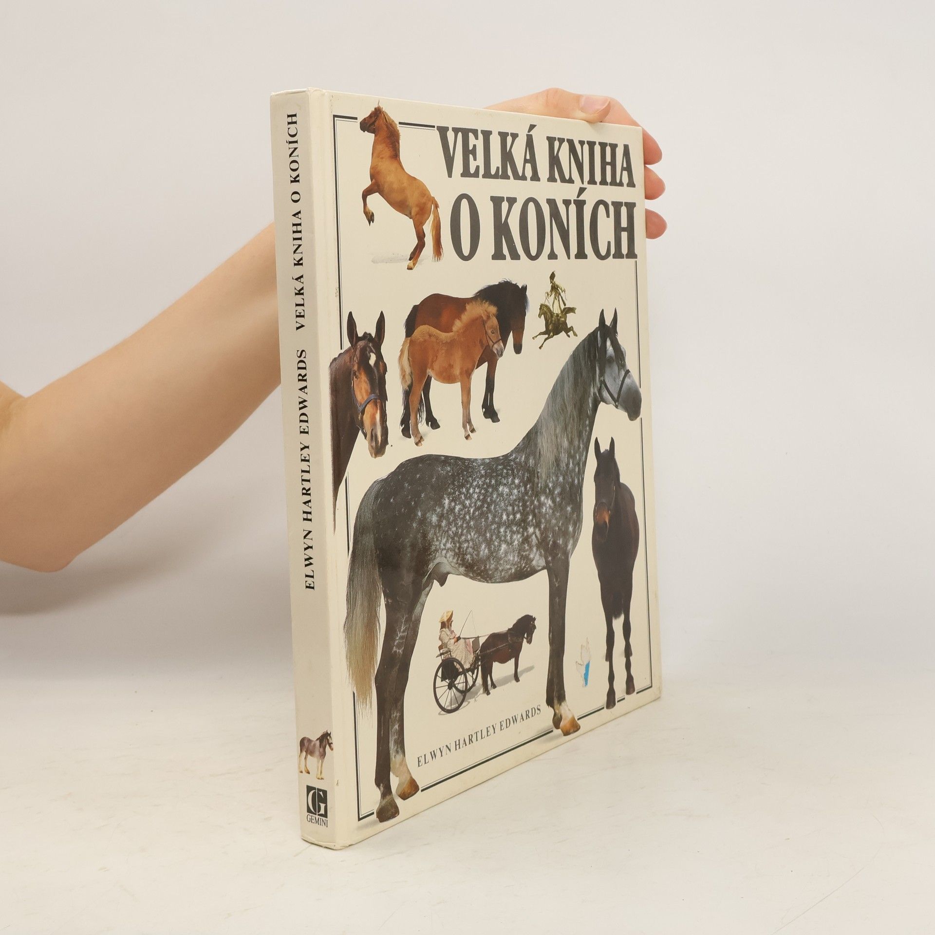 Elwyn Hartley Edwards Velká kniha o koních