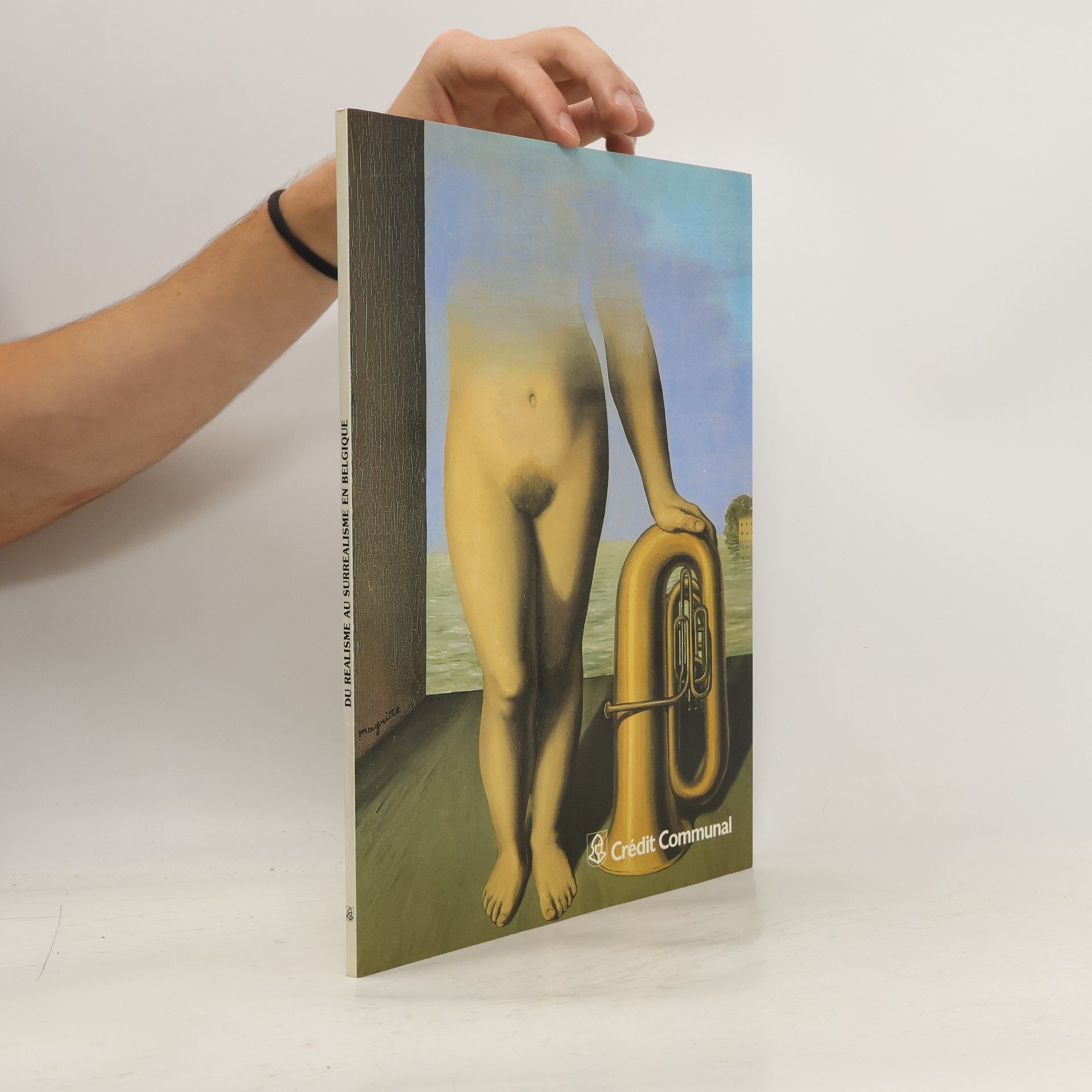 neuveden Du réalisme au surréalisme en belgique