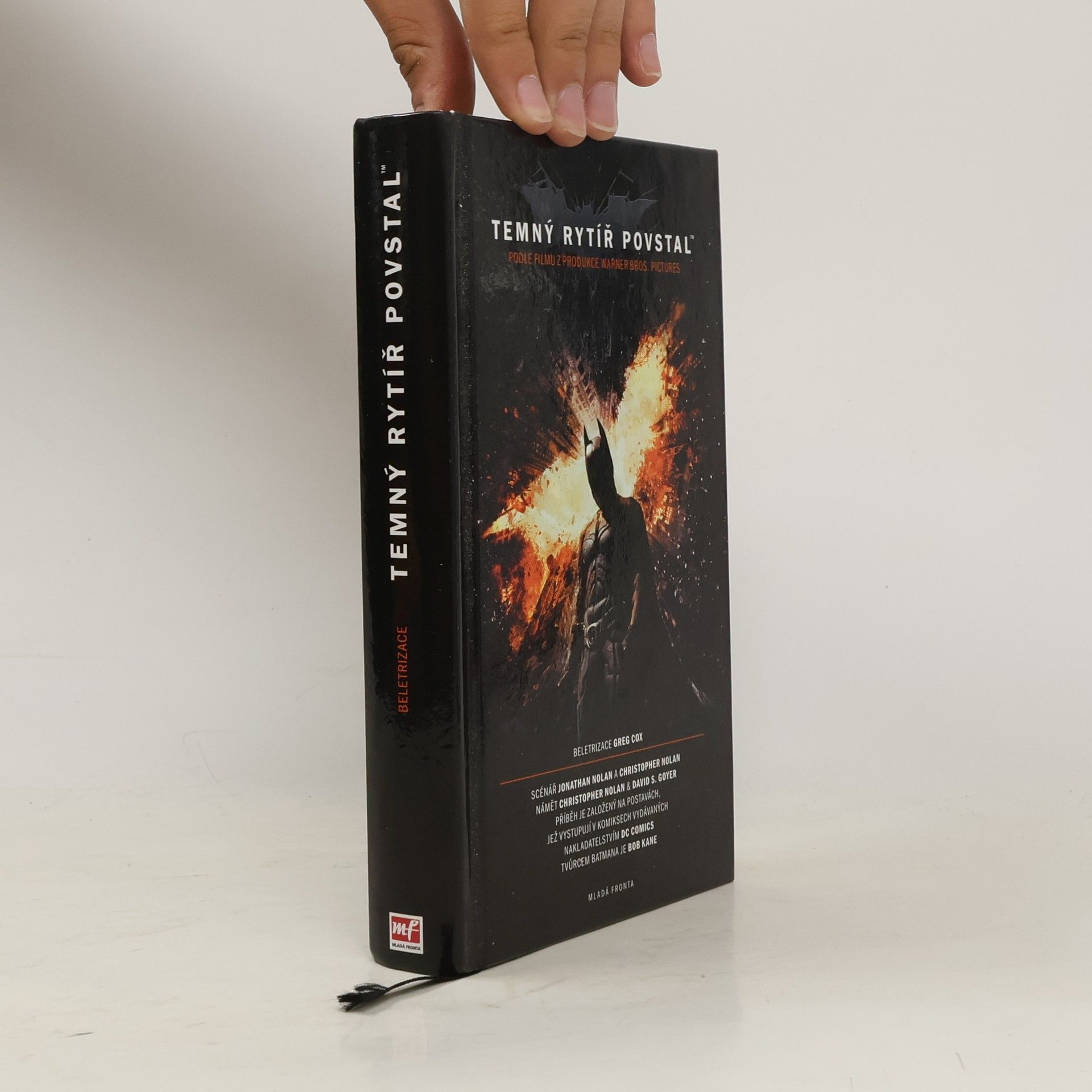 David S. Goyer Temný rytíř povstal: Oficiální beletrizace filmu