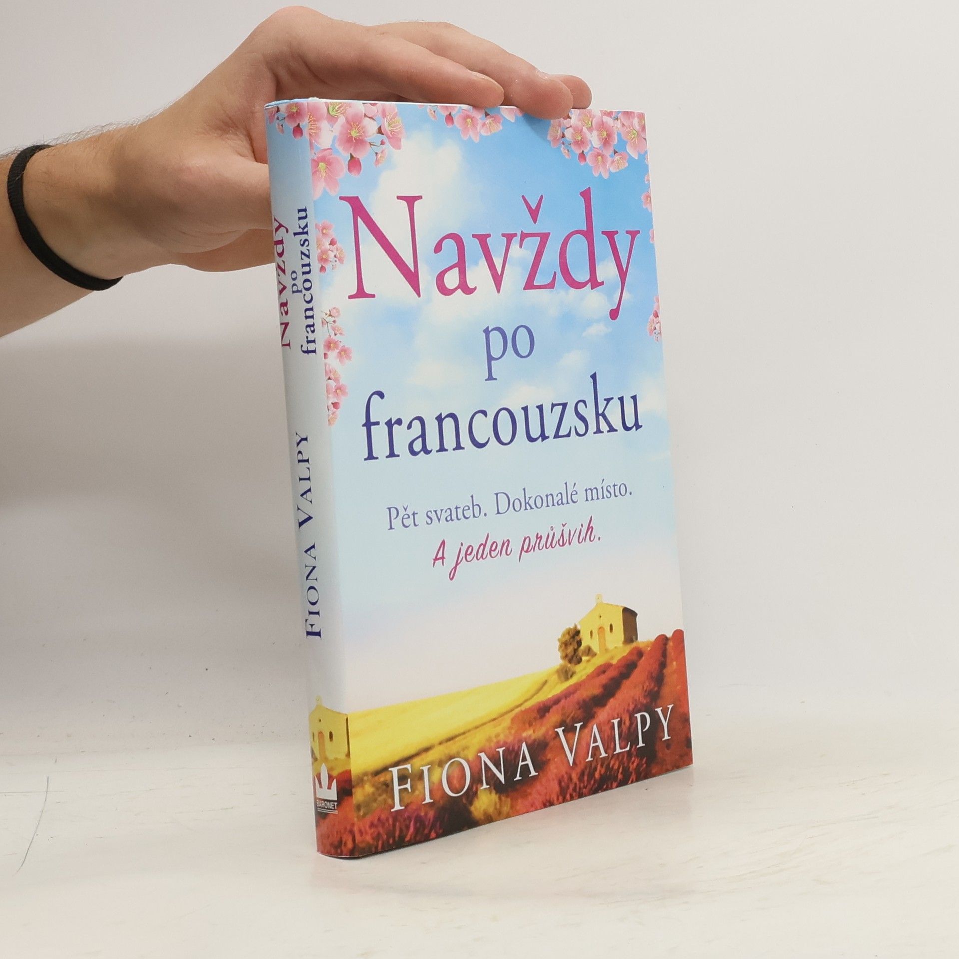 Fiona Valpy Navždy po francouzsku