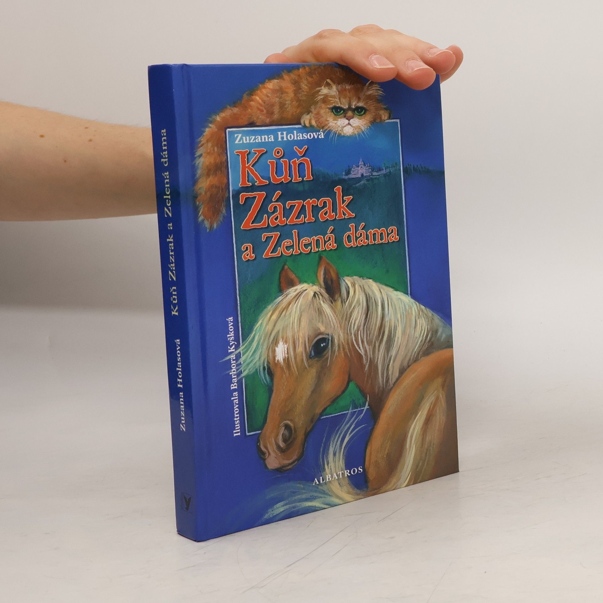 Kůň Zázrak a Zelená dáma