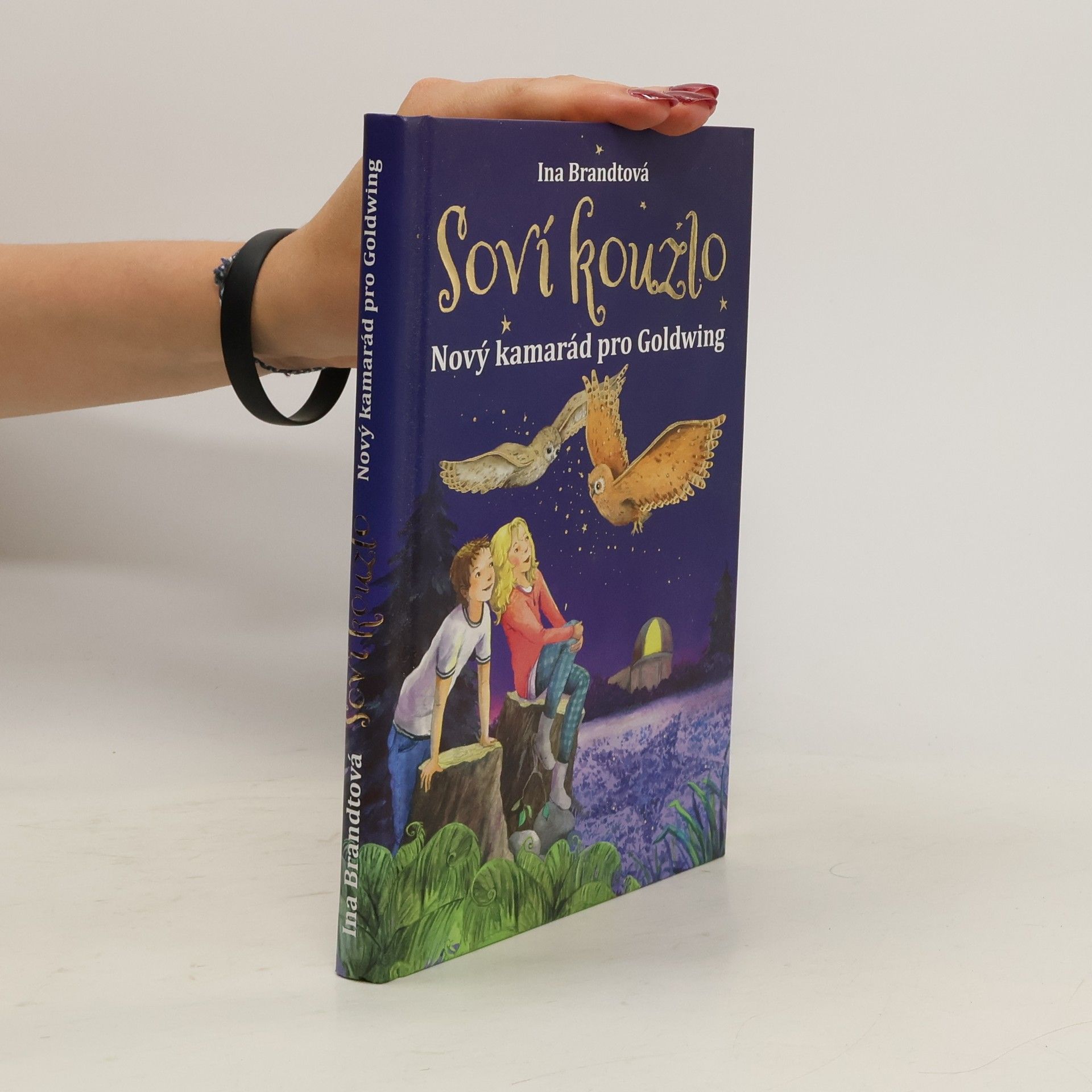 Ina Brandt Soví kouzlo. Nový kamarád pro Goldwing