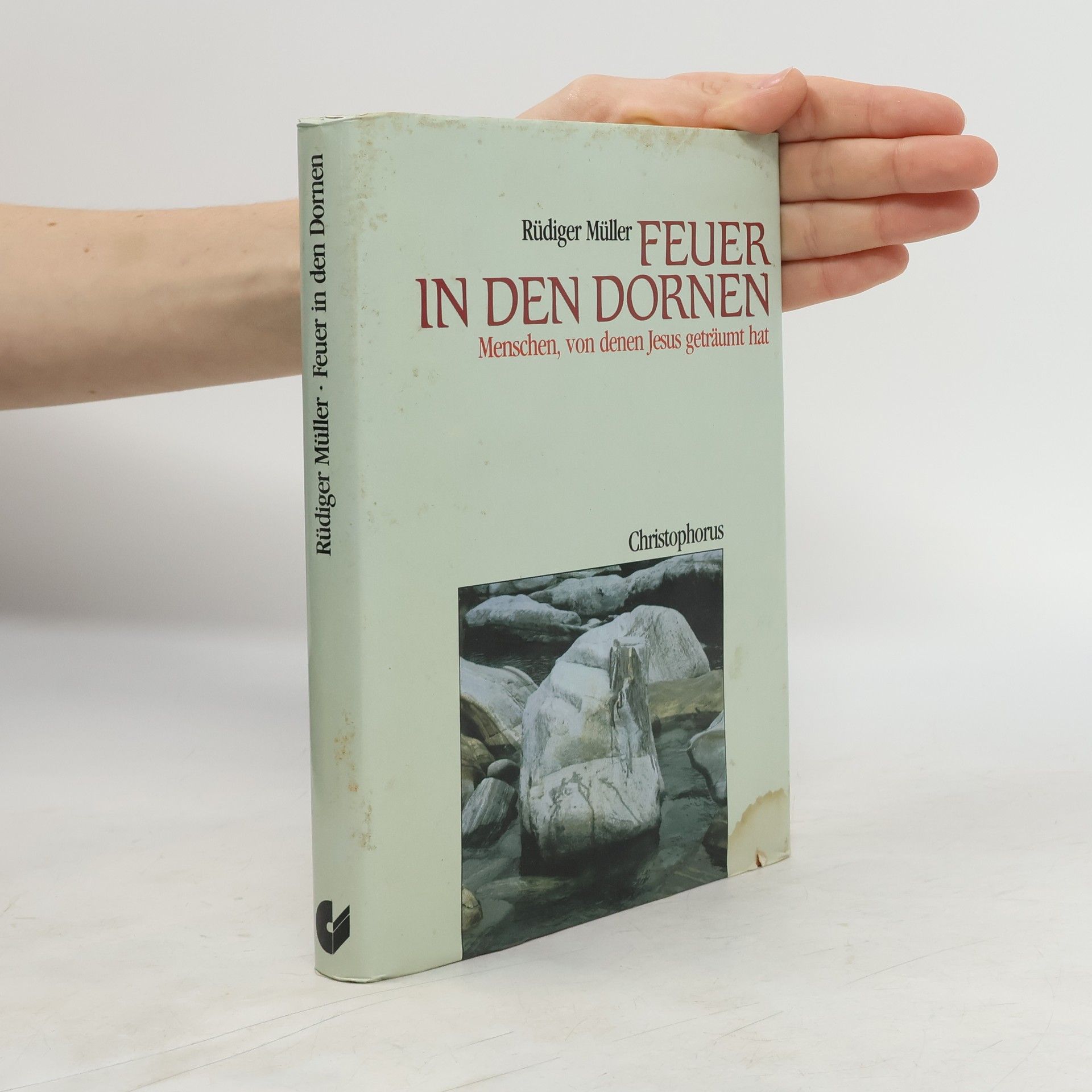 Rüdiger Müller Feuer in den Dornen