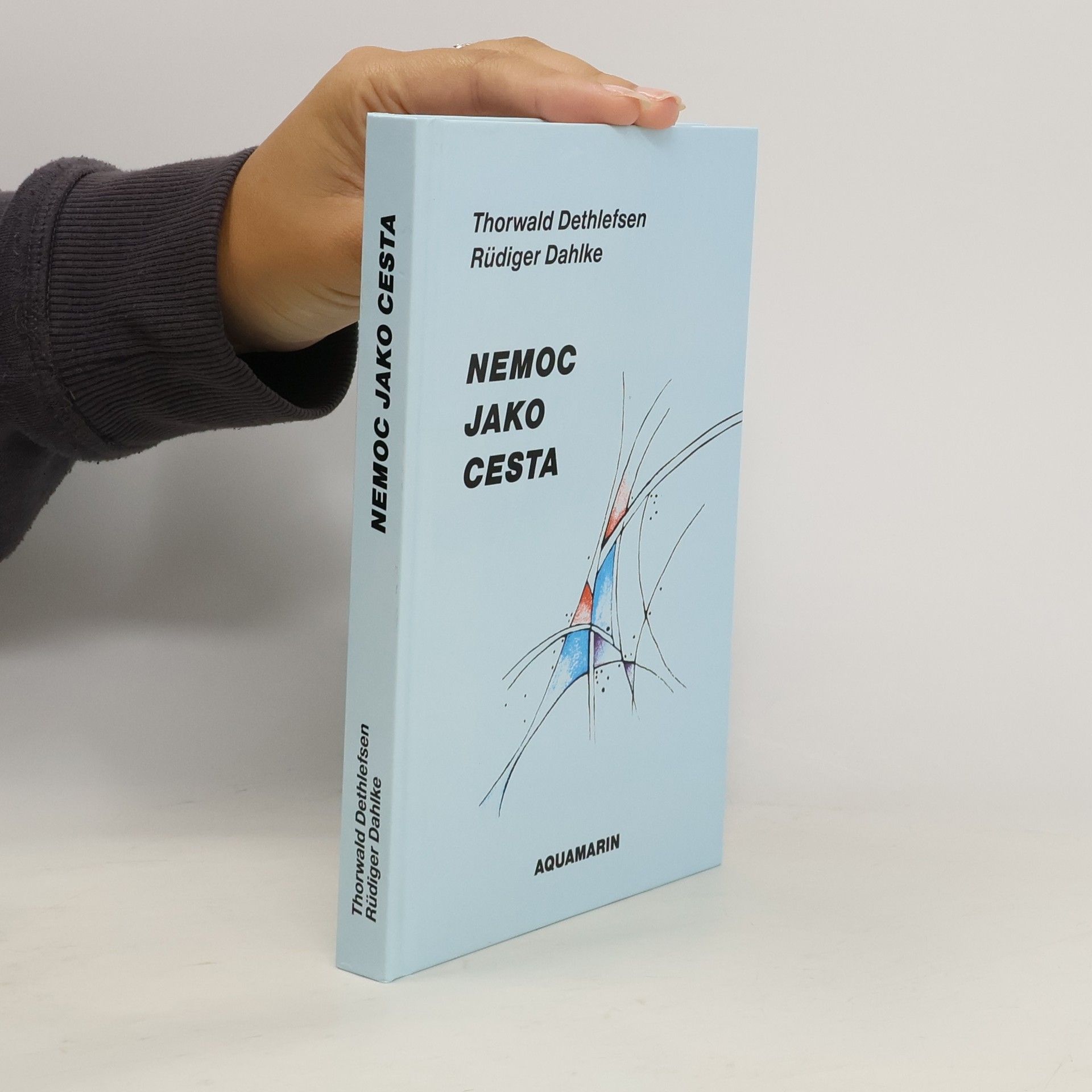 Thorwald Dethlefsen Nemoc jako cesta