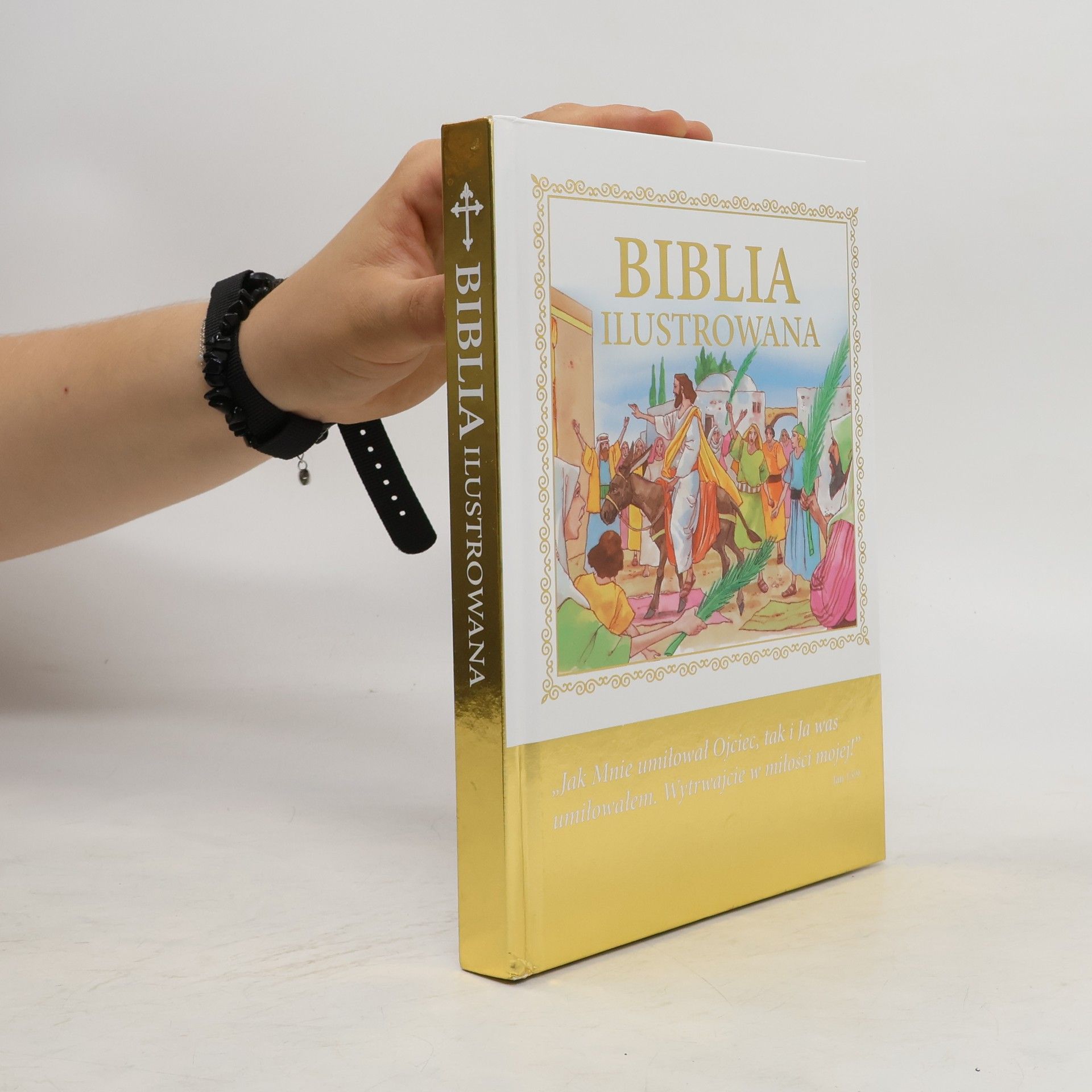 AA.VV. Biblia Ilustrowana