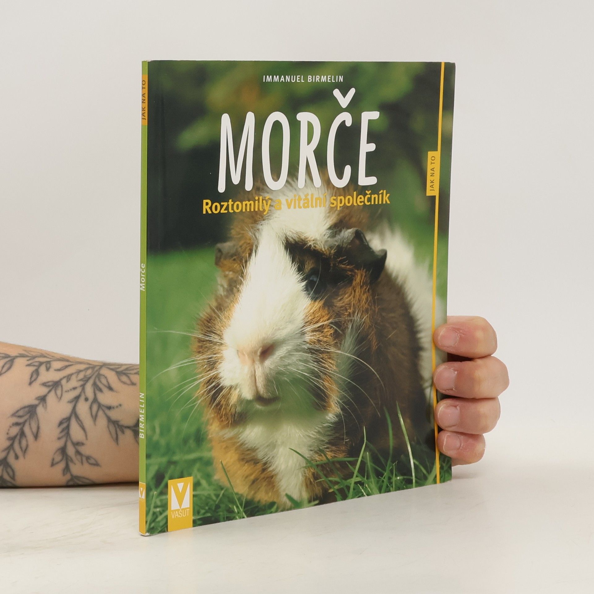 Morče. Roztomilý a vitální společník