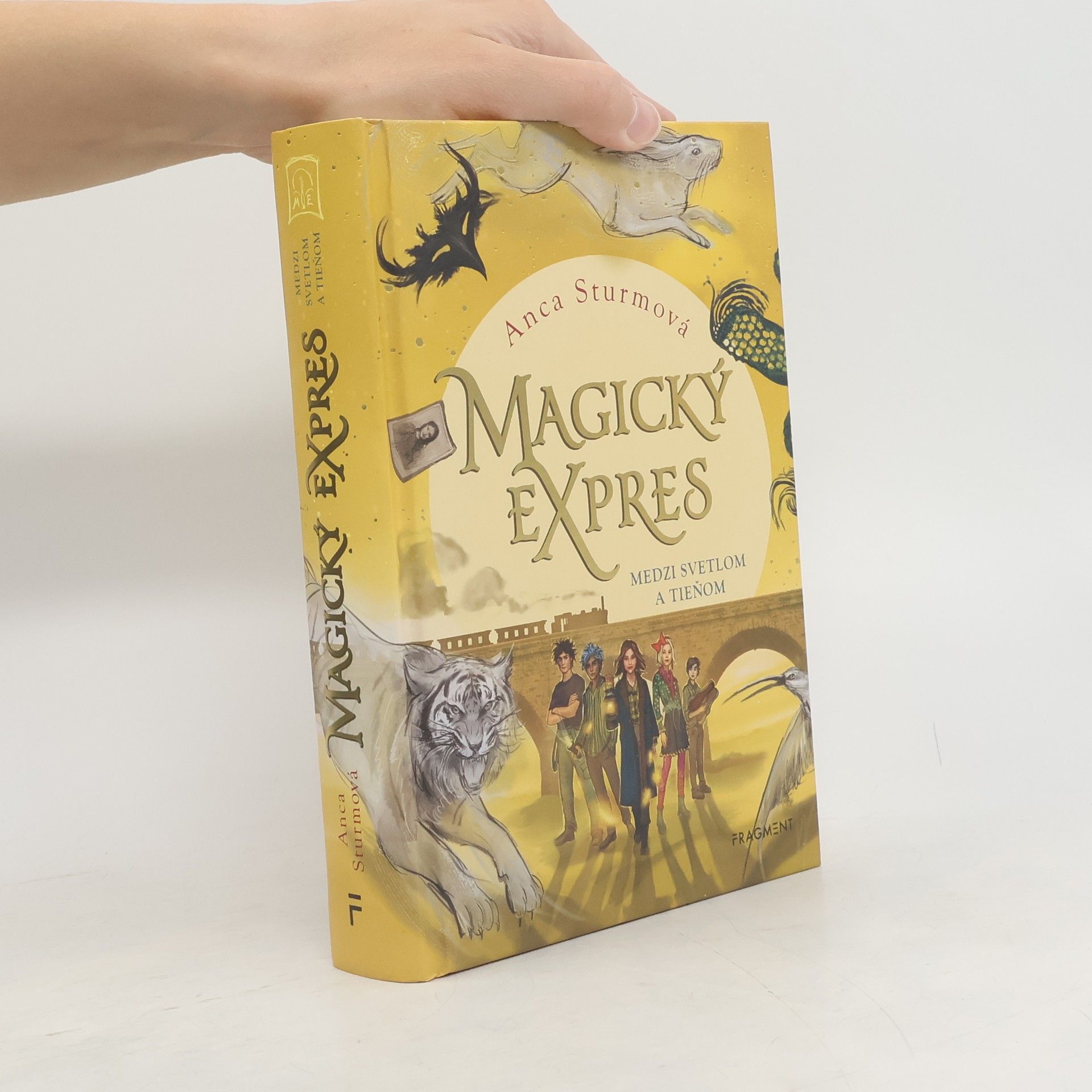 Magický expres: Medzi svetlom a tieňom