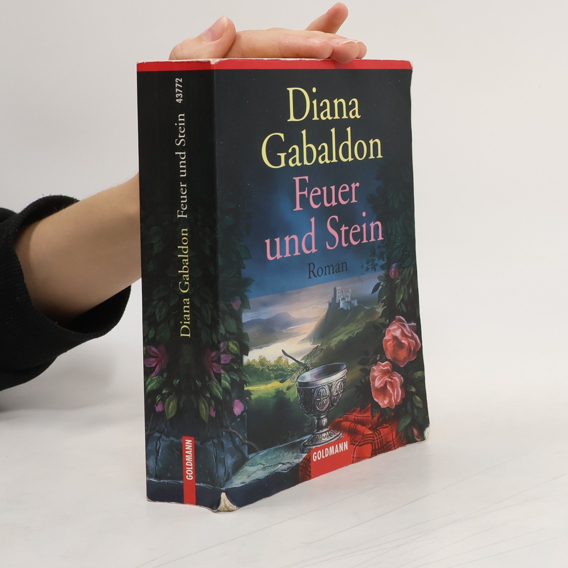 Diana Gabaldon Feuer und Stein