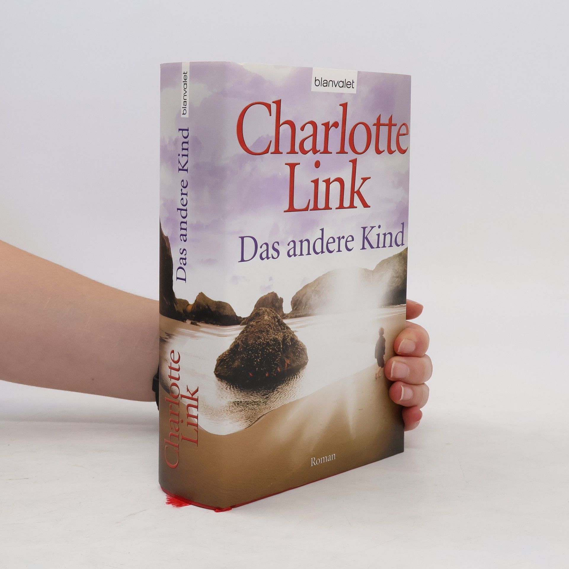 Charlotte Link Das andere Kind