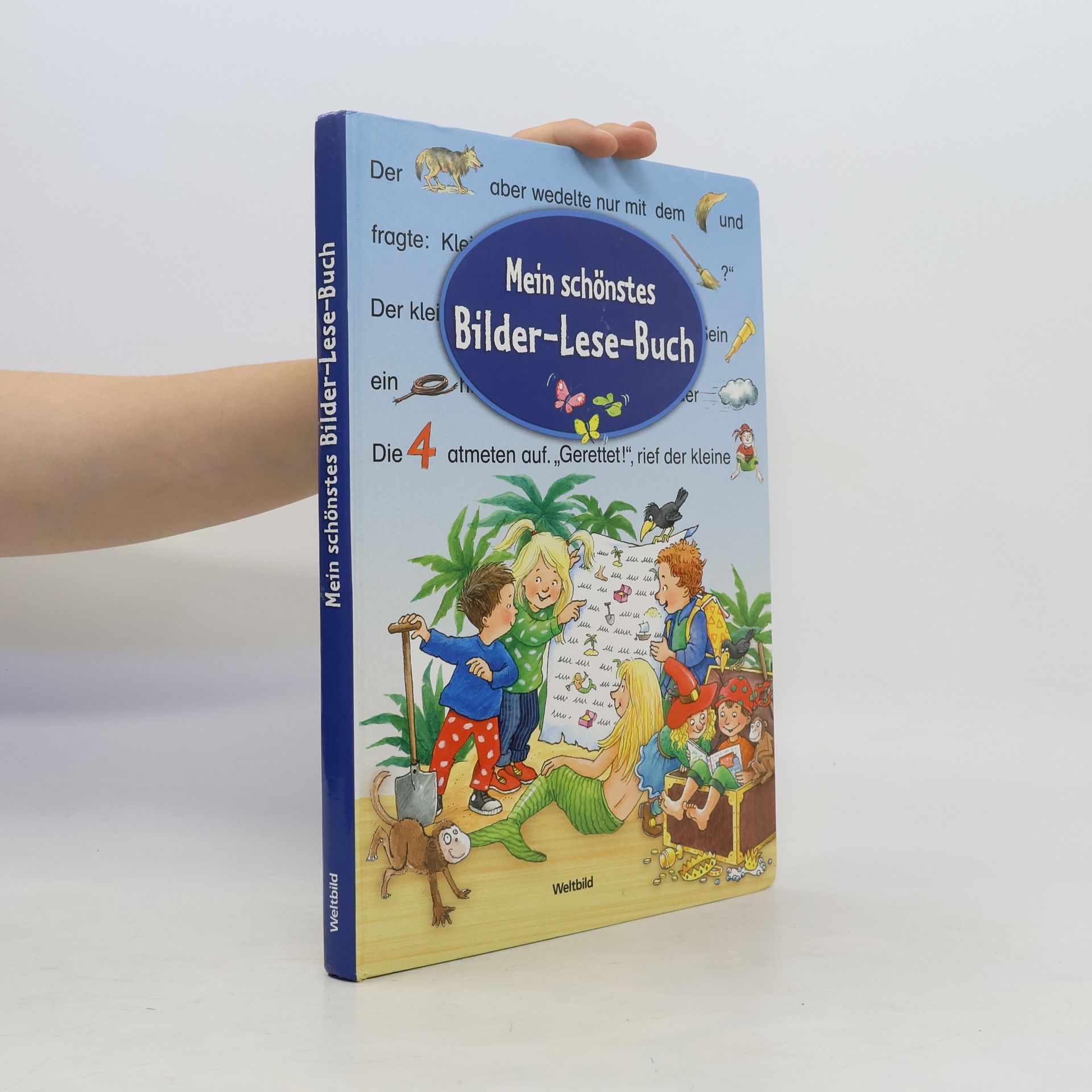 AA.VV. Mein schönstes Bilder-Lese-Buch