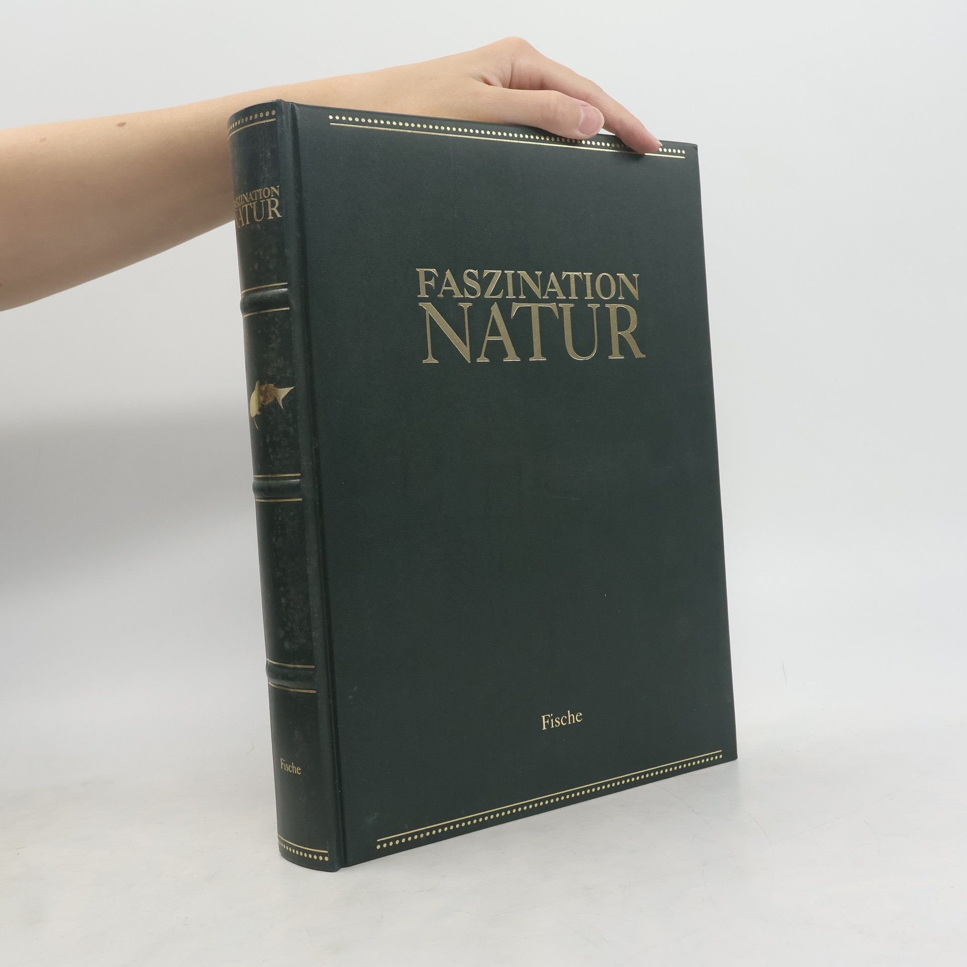 Autores varios Faszination Natur. Fische