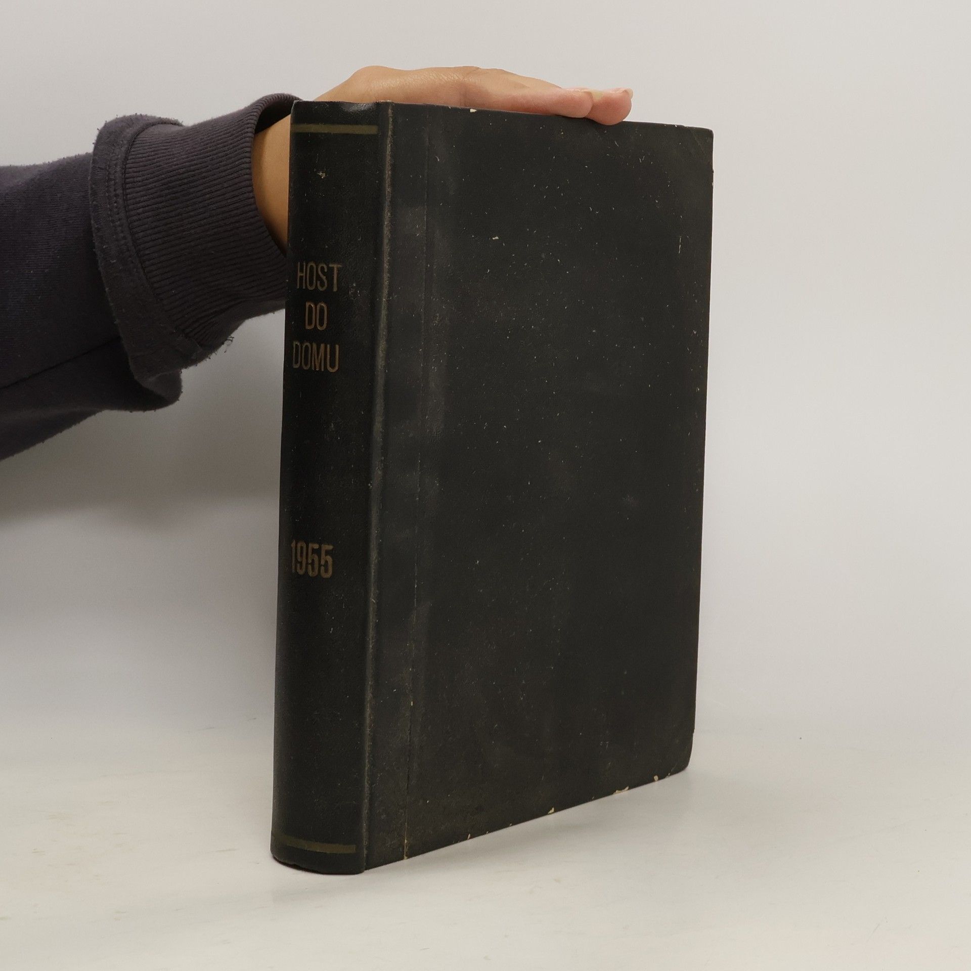 Kolektív autorov Host do domu II