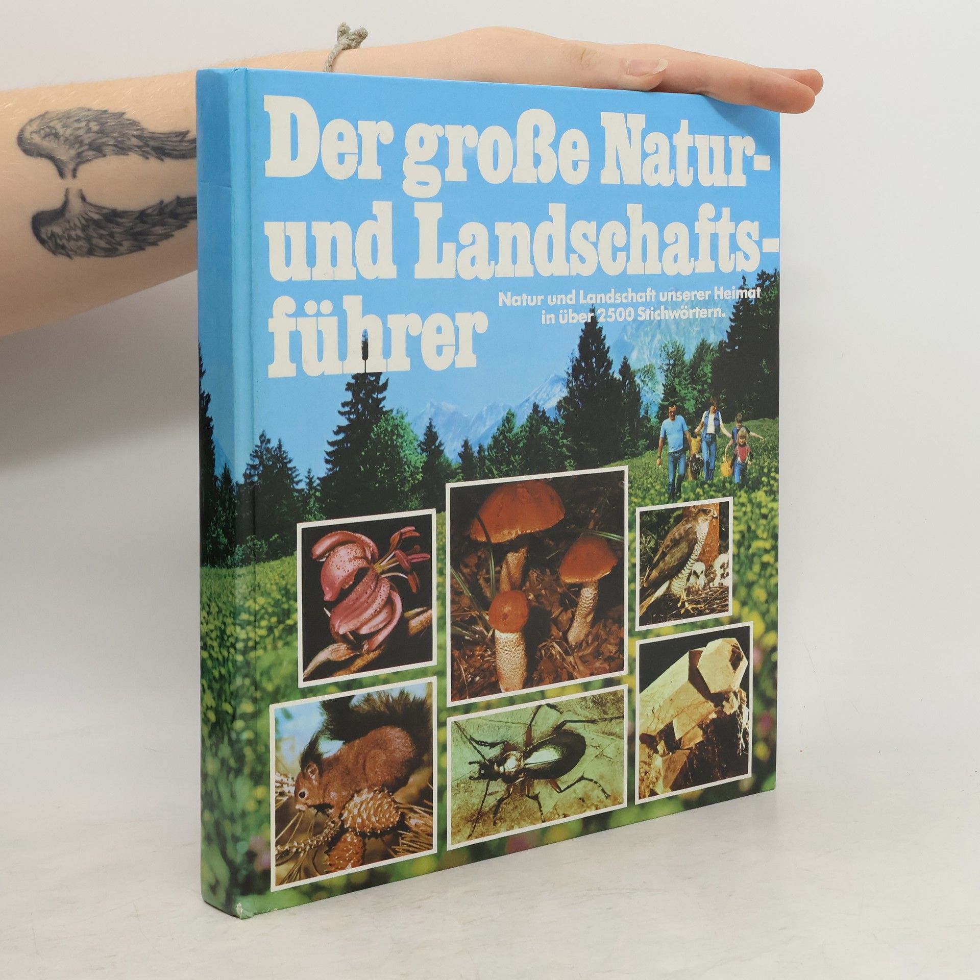 Kolektív autorov Der große Natur- und Landschaftsführer