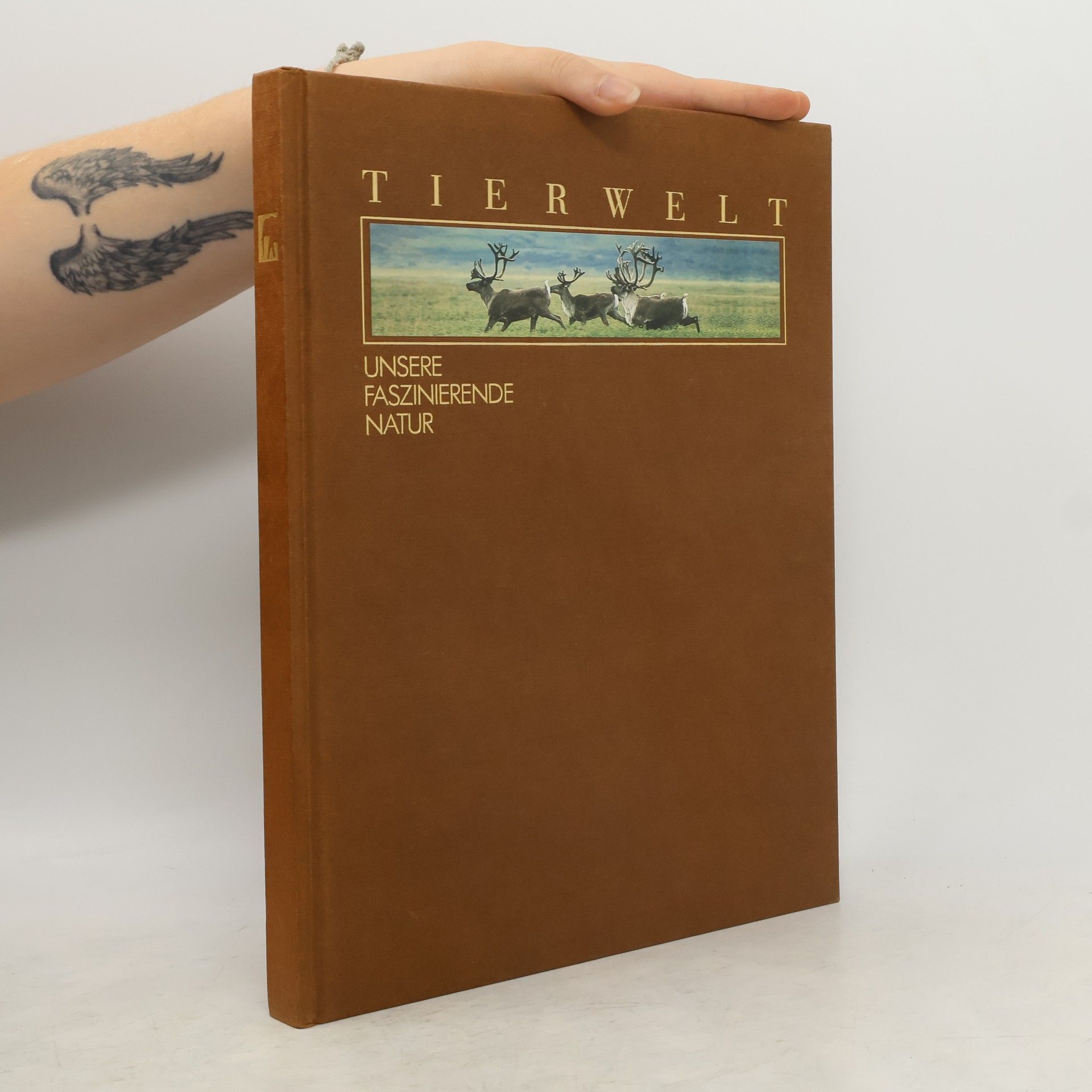 Collectif d'auteurs Tierwelt