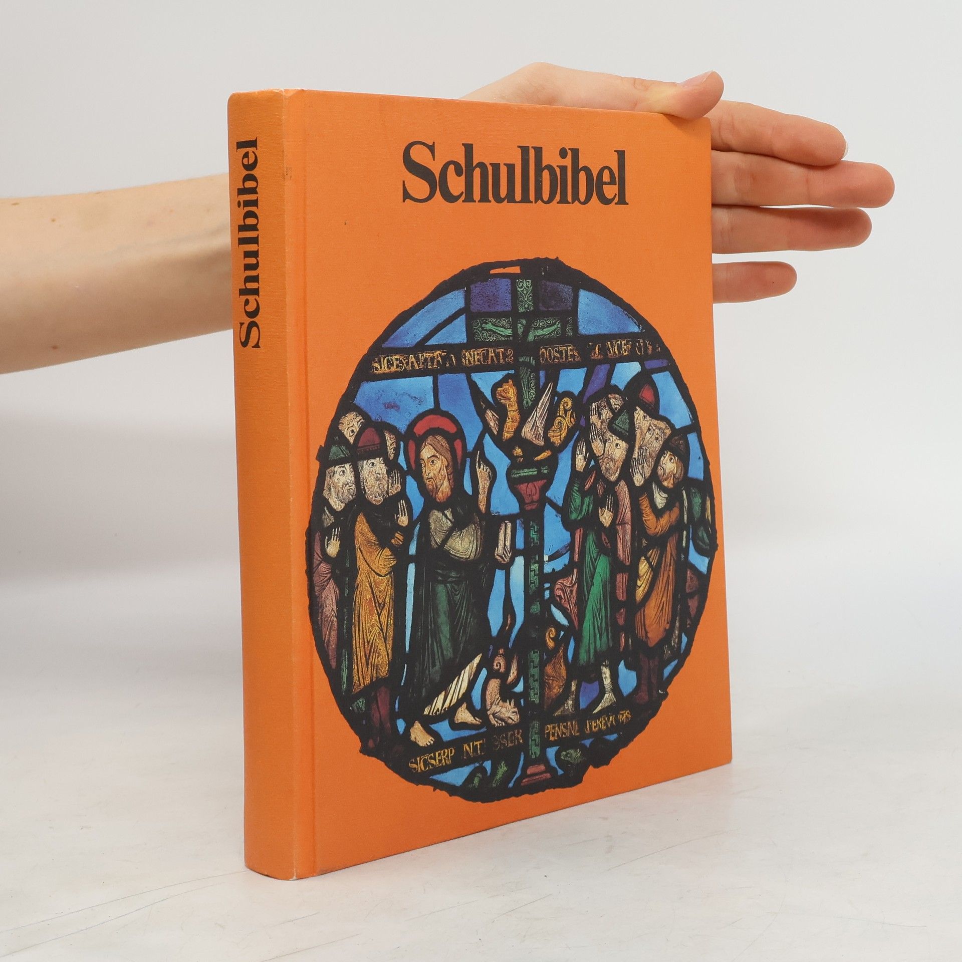 Collectif d'auteurs Schulbibel für 10-14jährige