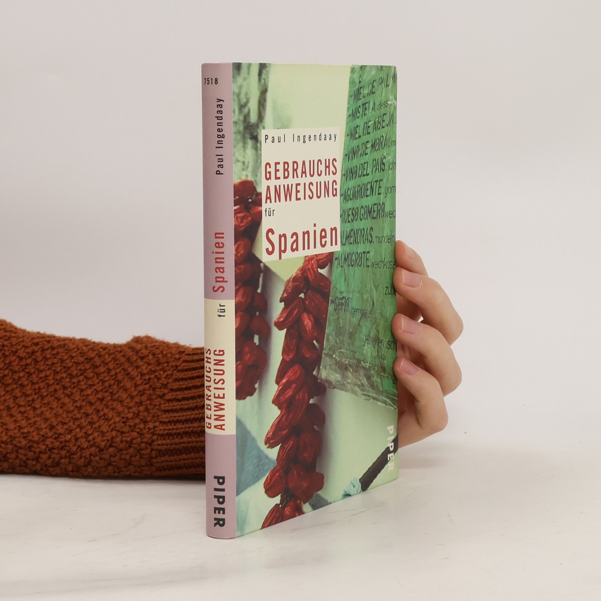 Paul Ingendaay Gebrauchsanweisung für Spanien