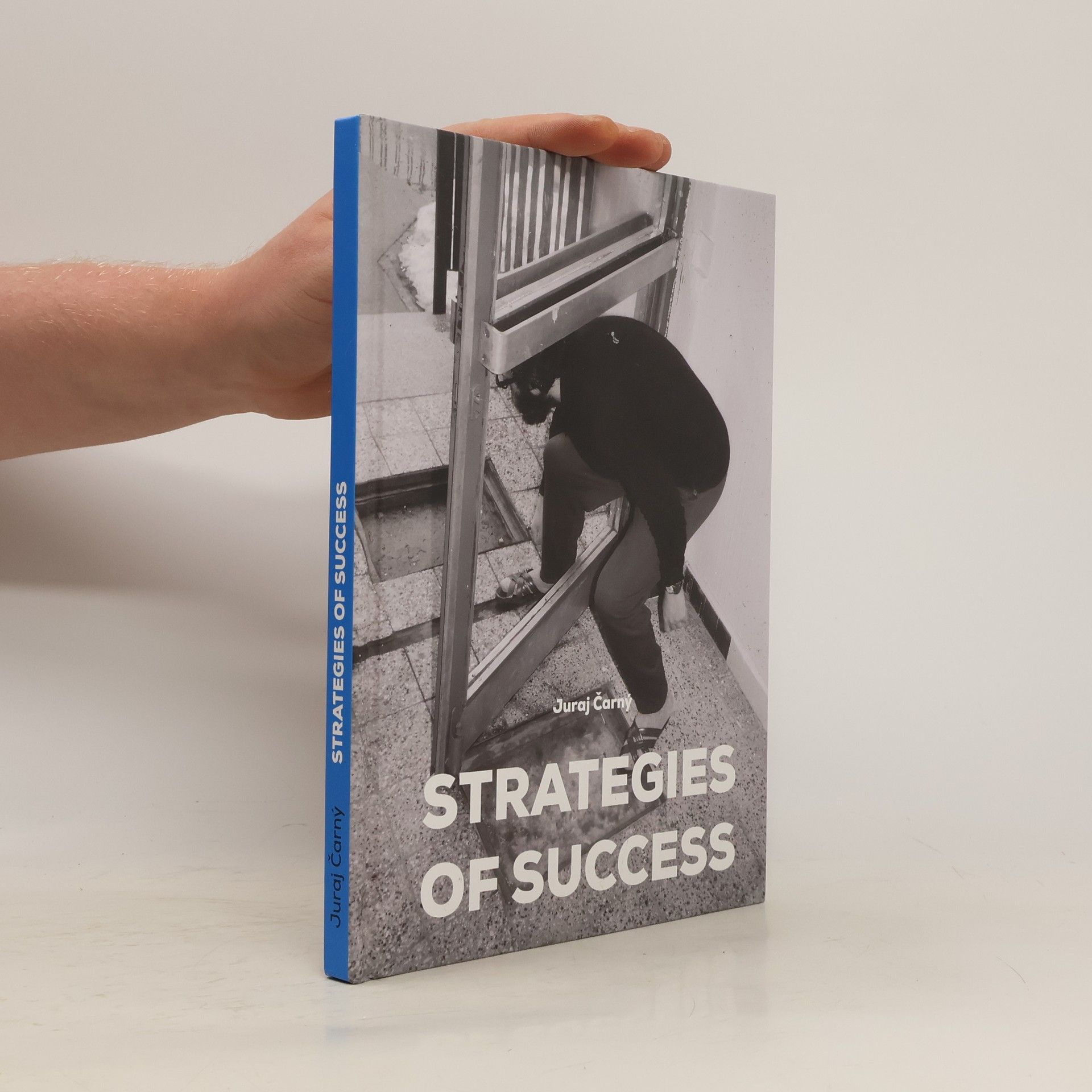 Juraj Čarný Strategies of Success
