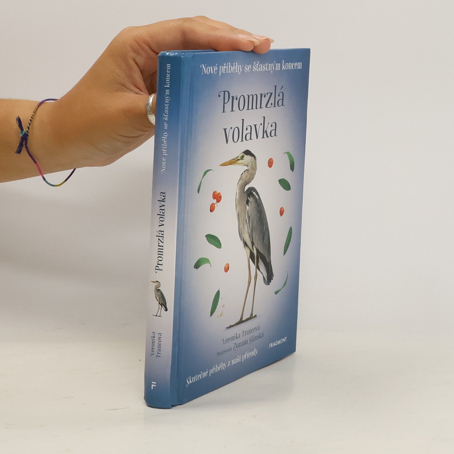 Veronika Francová Promrzlá volavka